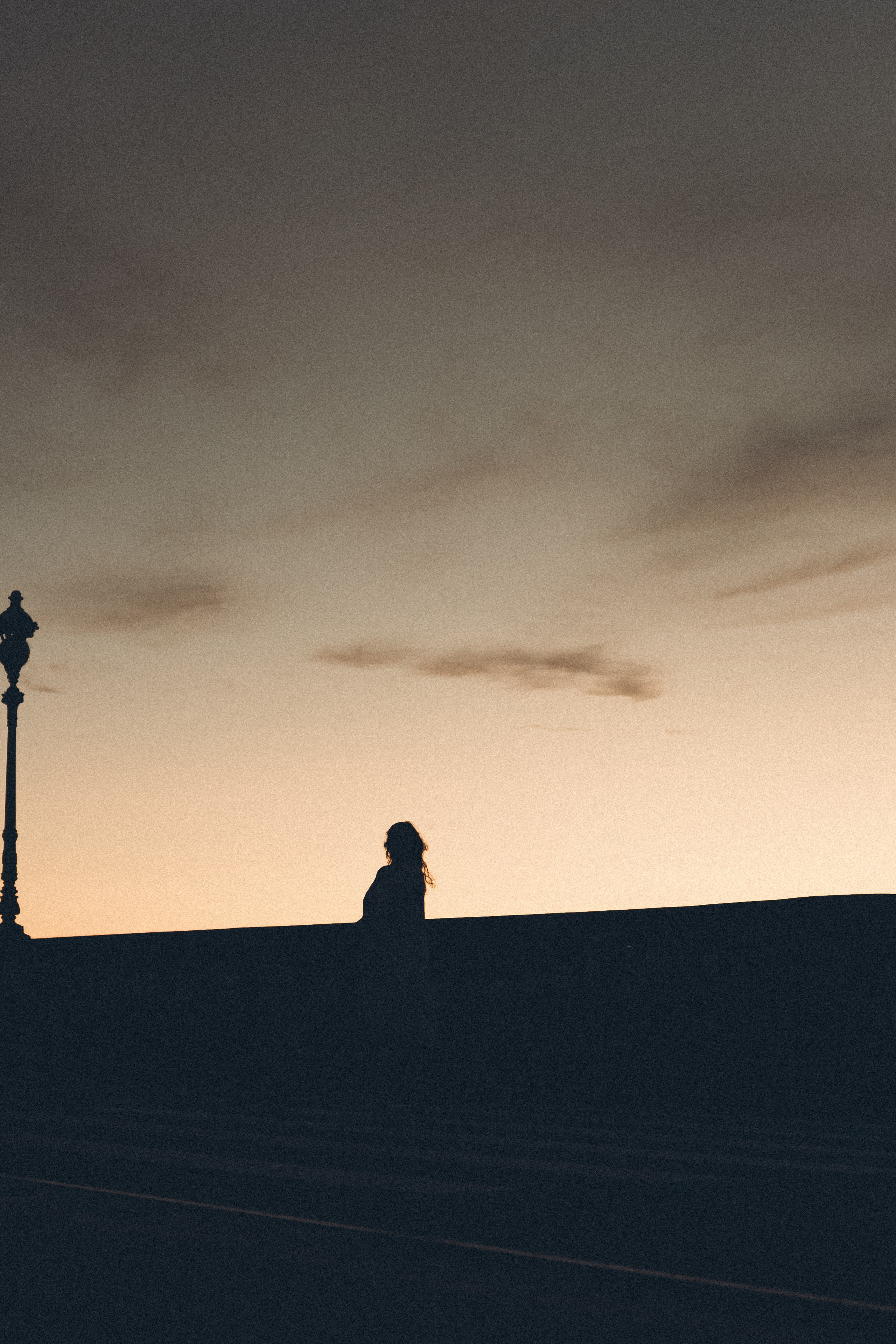 РАССВЕТ С РАЗВОДНЫМИ МОСТАМИ. Профессиональный фотограф, Санкт-Петербург — Виктория Богомолова