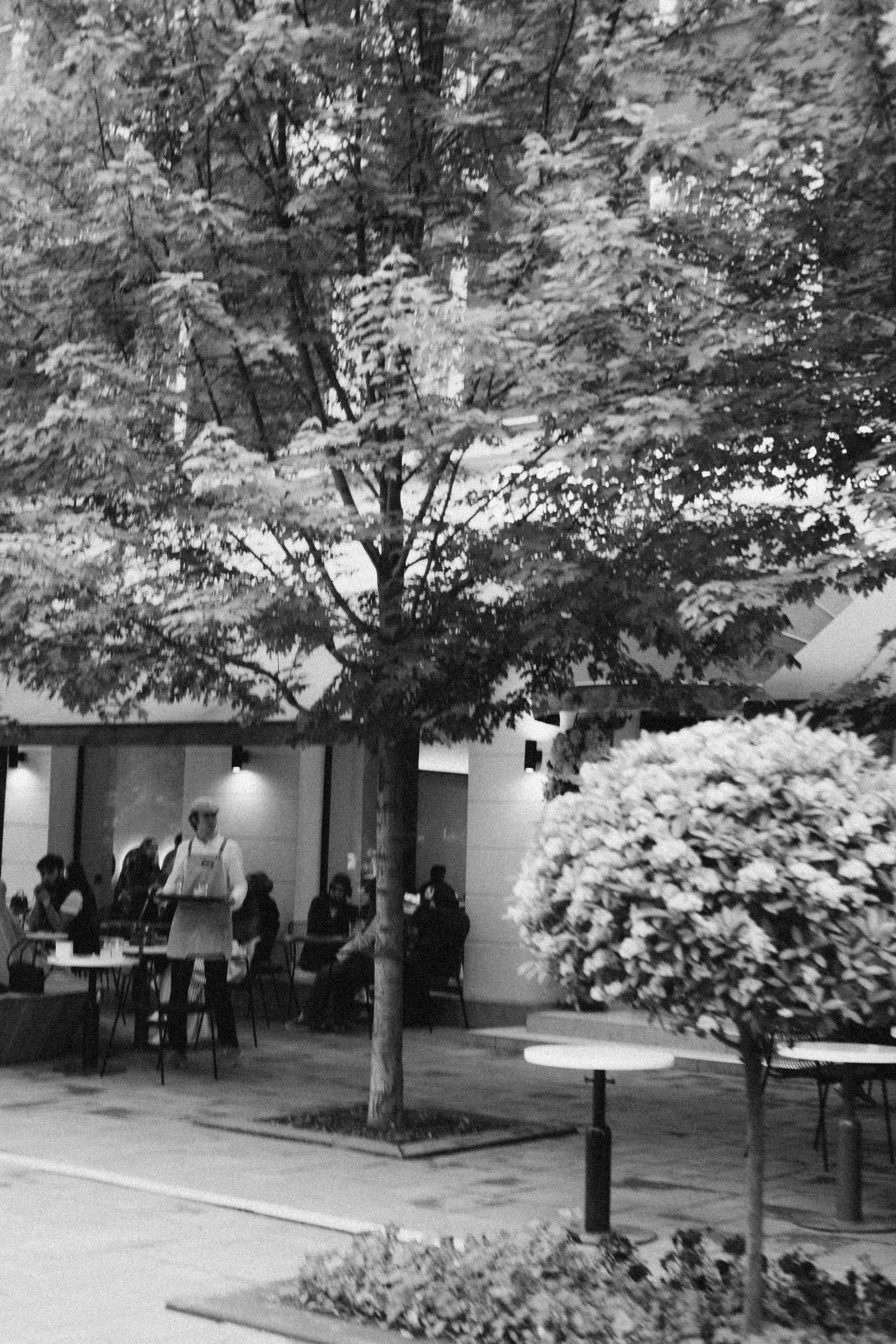 Кавказ. Профессиональный фотограф, Санкт-Петербург — Виктория Богомолова