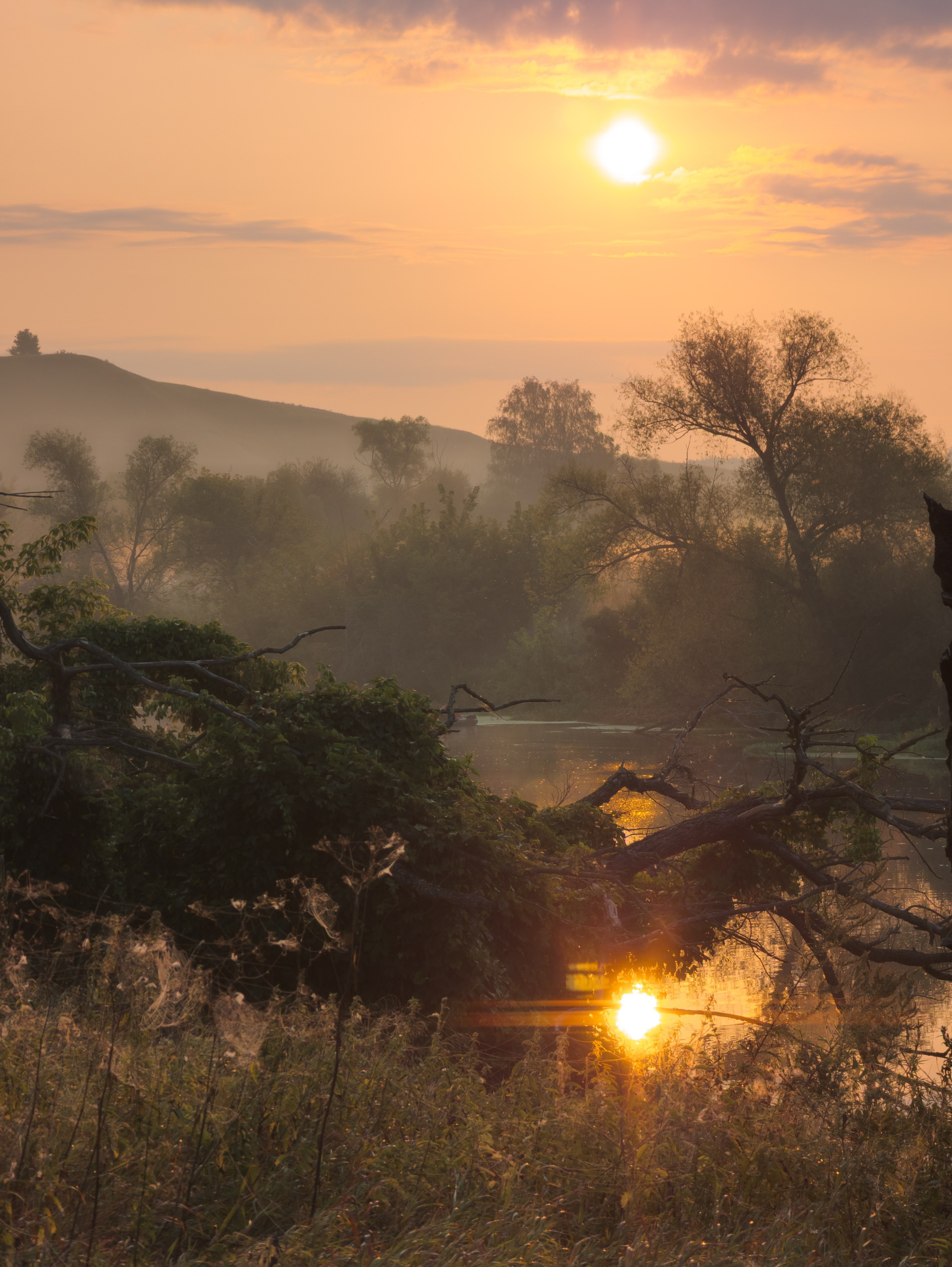 Красивая Меча. Фотограф и видеооператор в Туле | Даниил Рыбак