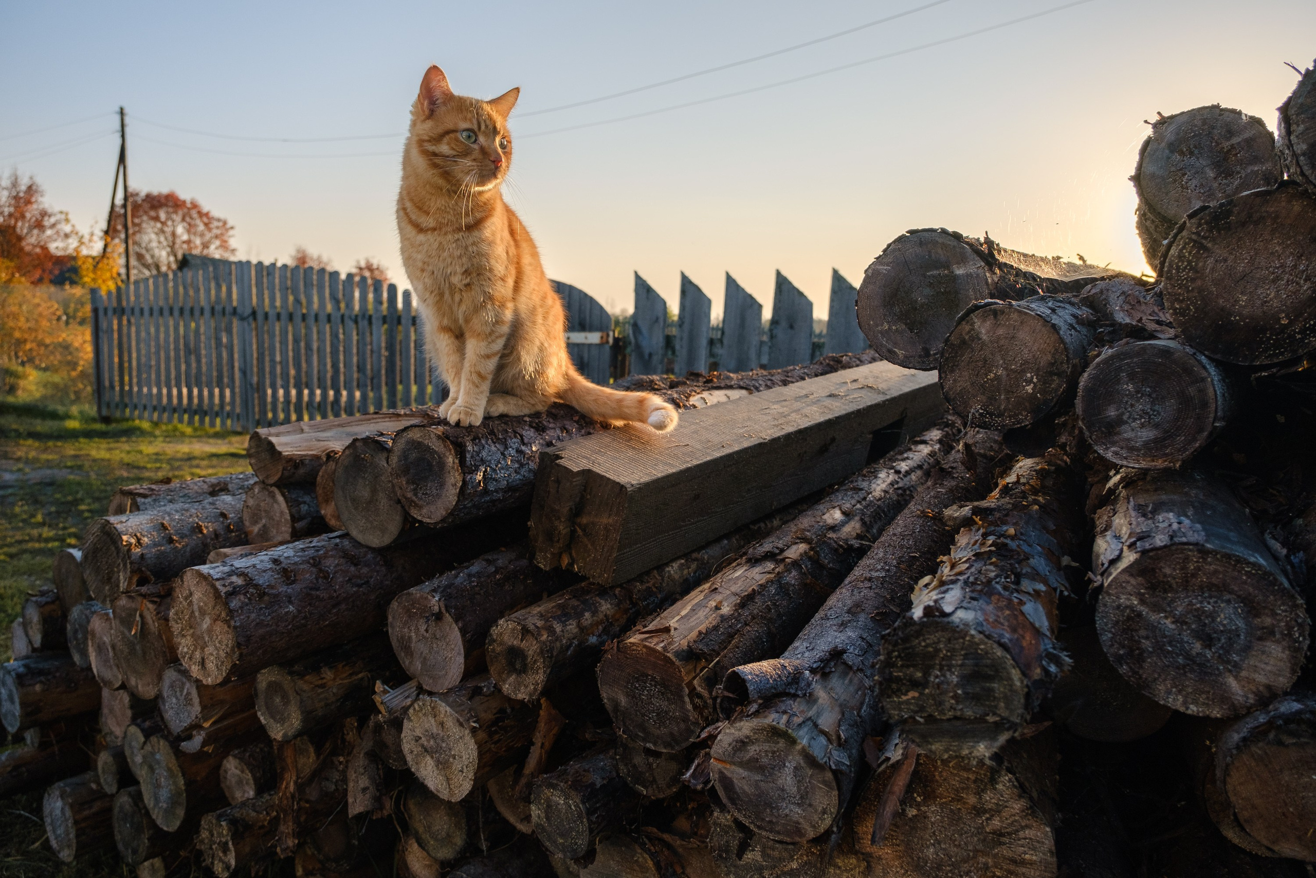 Архангельская область. Фотограф и видеооператор в Туле | Даниил Рыбак