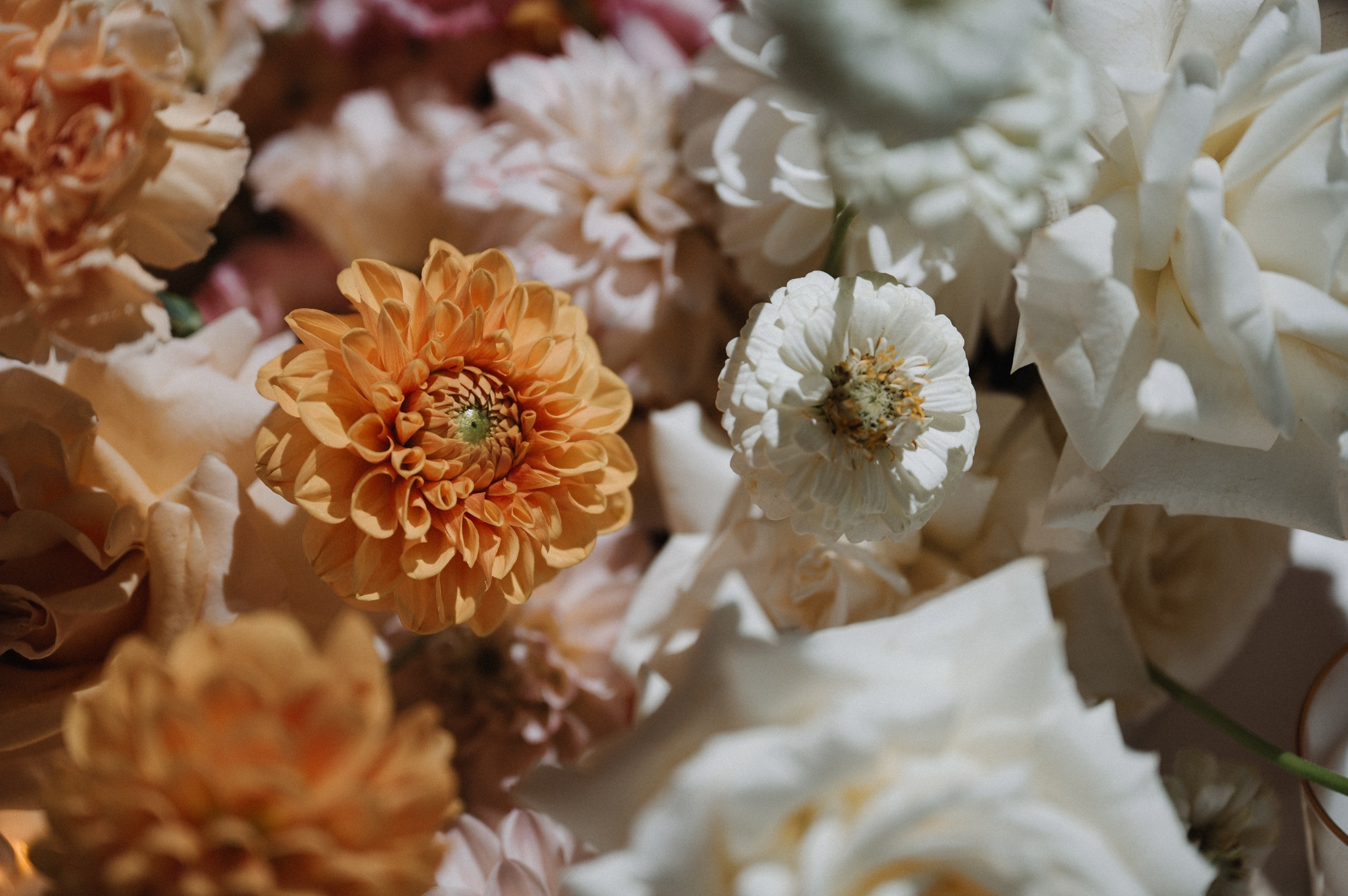 Кристина и Шамиль