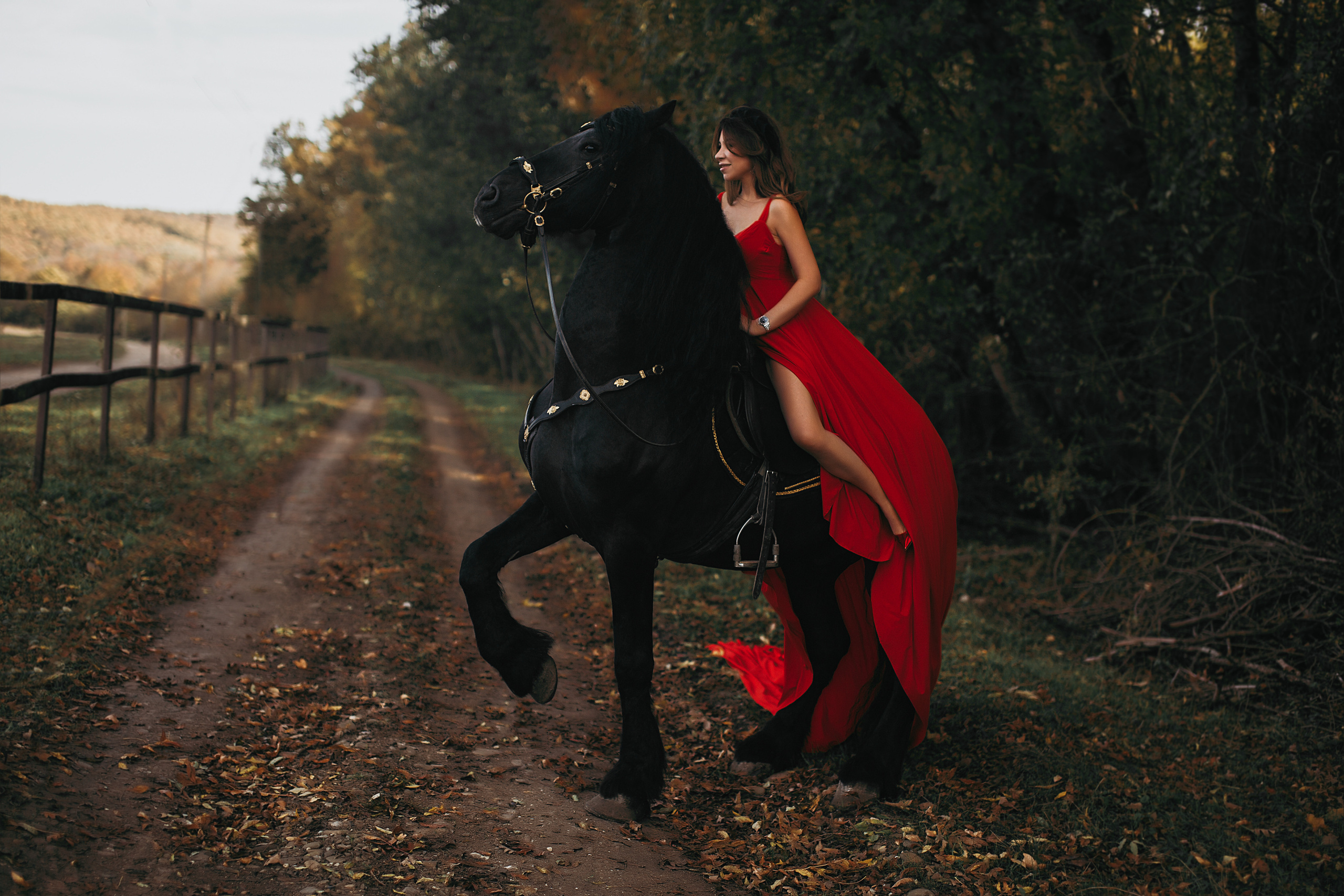 Фриз Арнольд и Роксана. Свадебный и семейный фотограф/видеограф в Краснодаре Наталья Осинская