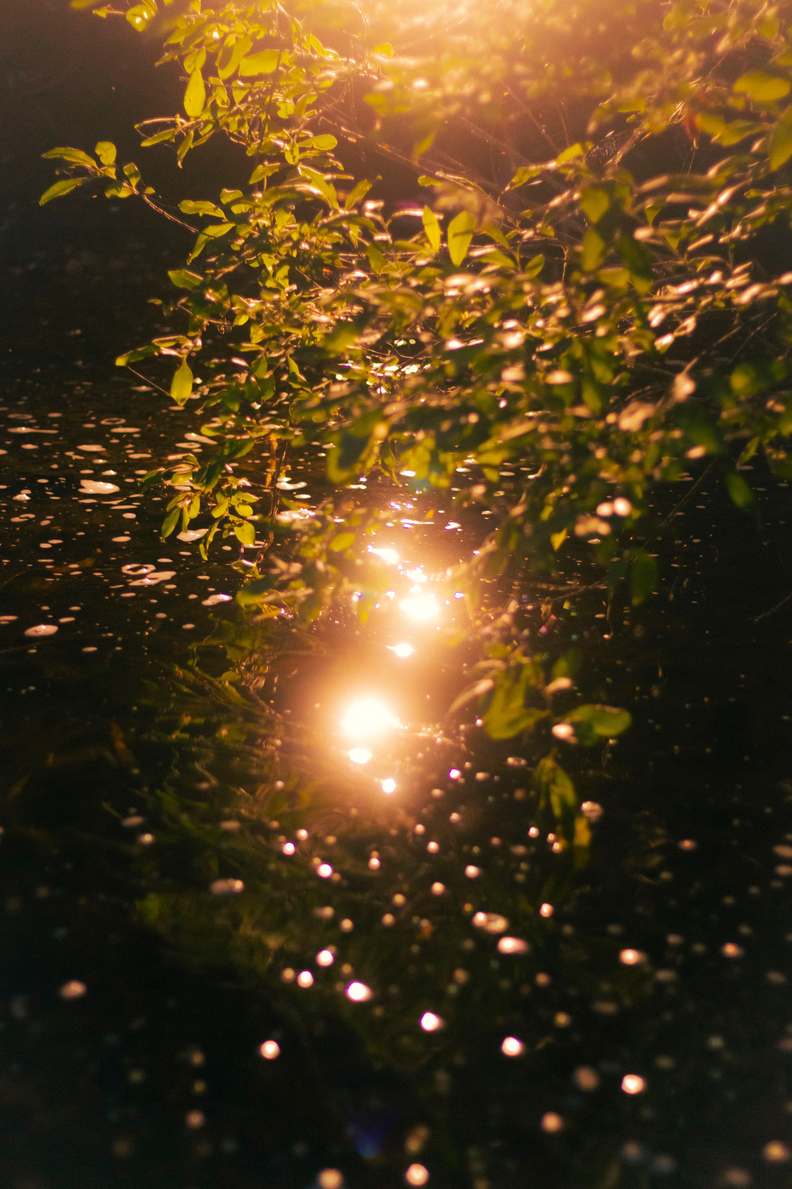 Vika. Фотограф Димитровград Казань Валерия Владимиркина