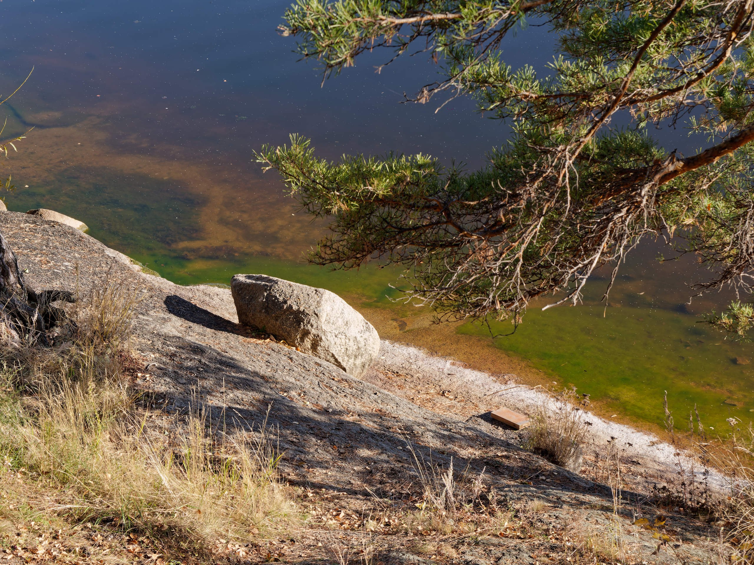 Боровое 2024 (из архива). Избранные фотографии
