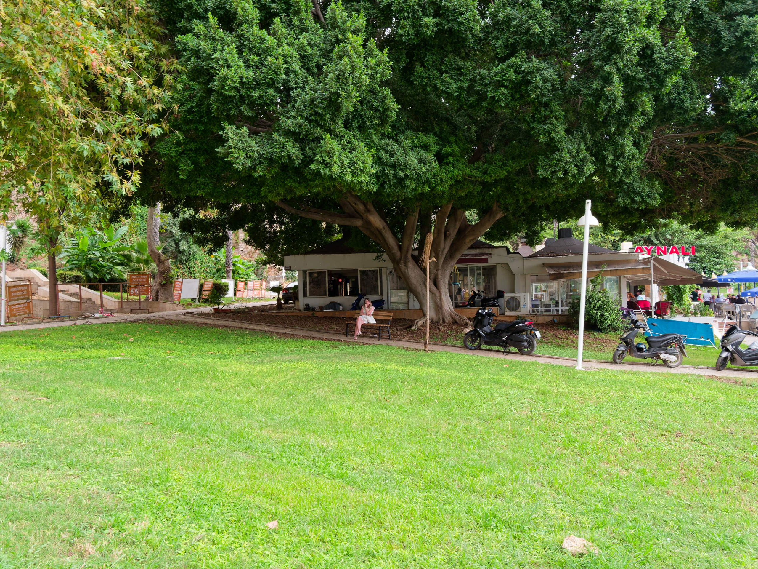 Анталия 2025, стрит-фото. Избранные фотографии