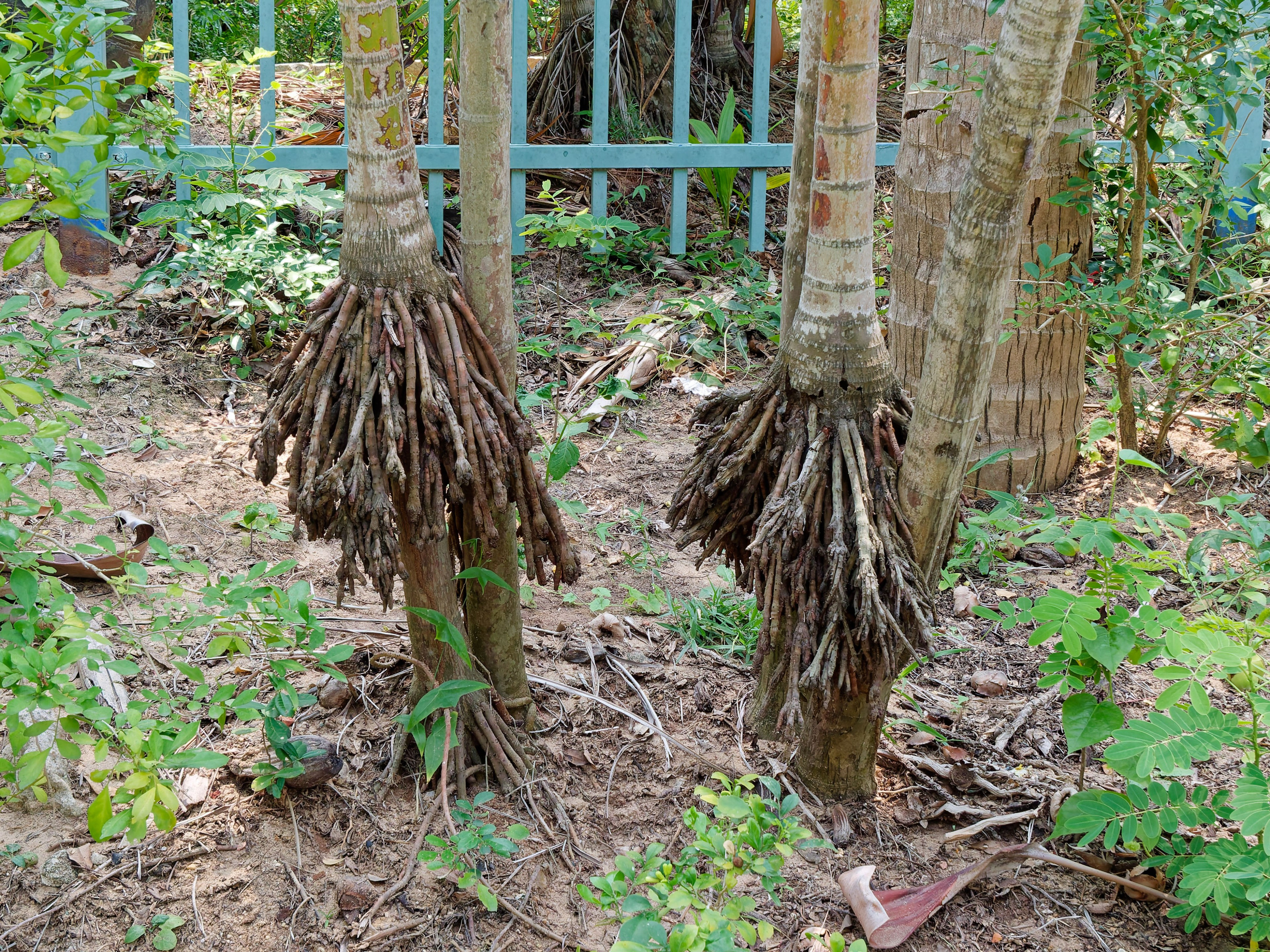 Хайнань 2026, улицы Ялунвань и Саньи. Фотопрогулки по Миру