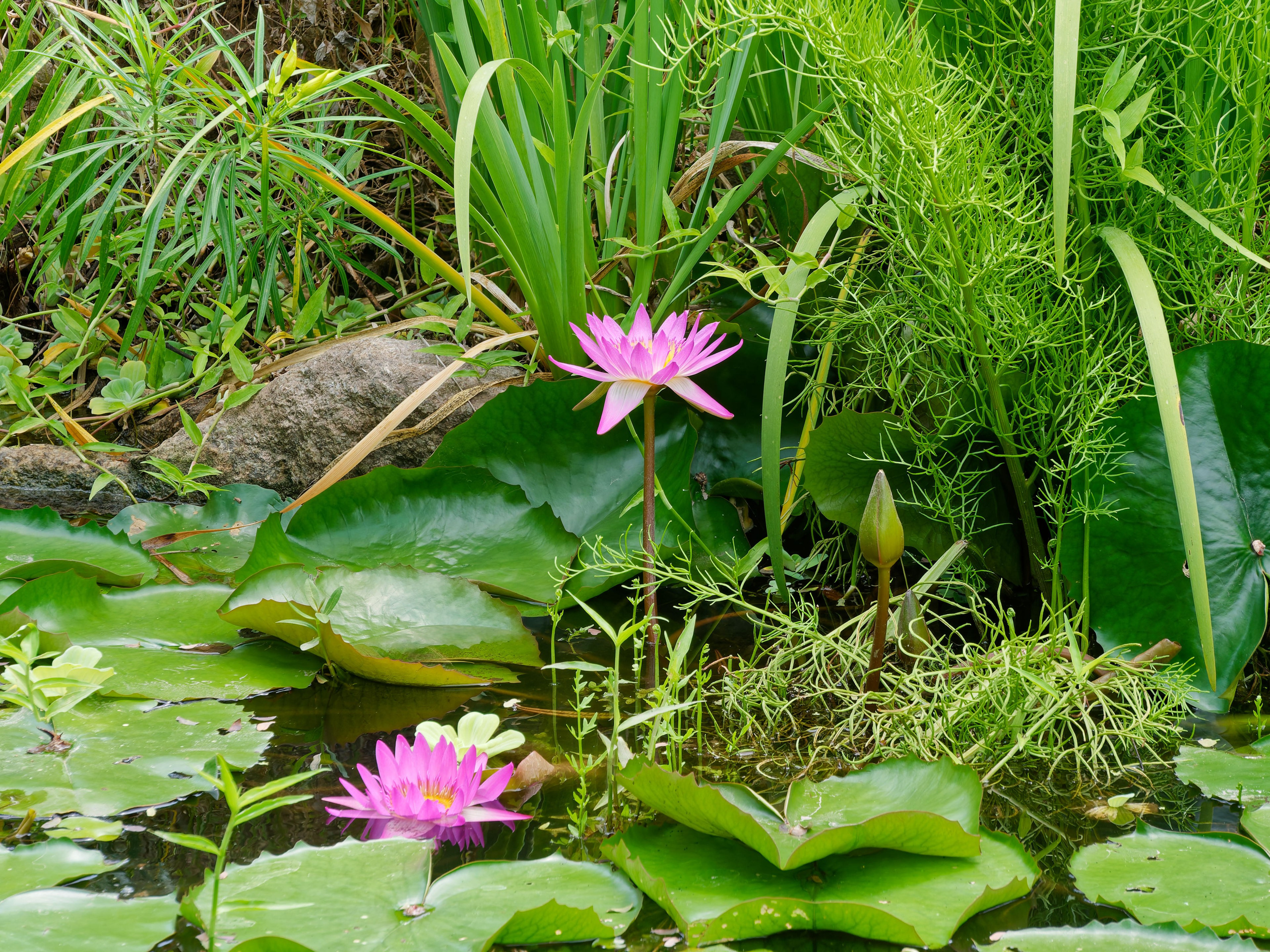 Хайнань 2026, отель «Stony Brook Villa Jianguo Resort Sanya 4*». Фотопрогулки по Миру