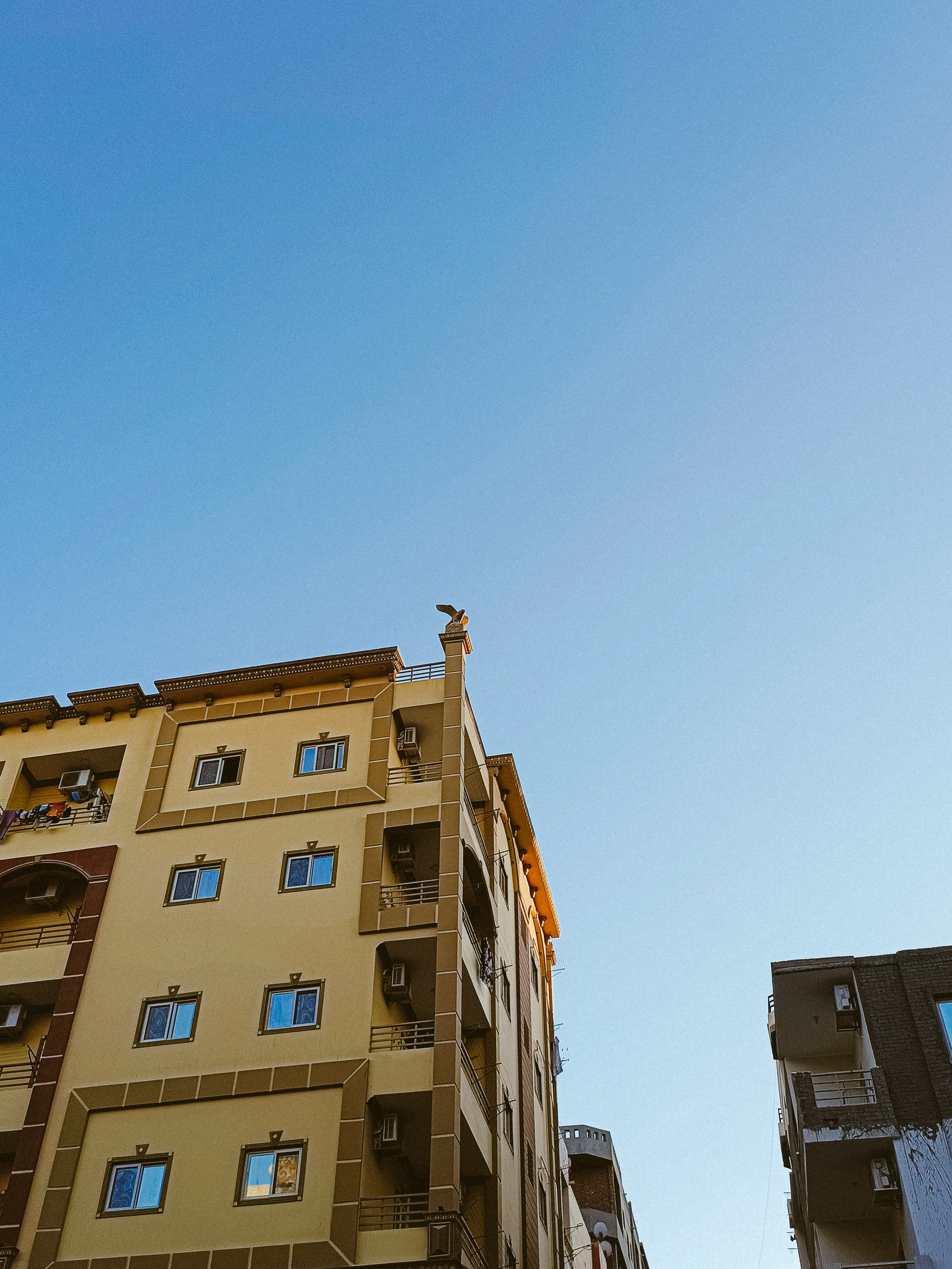 Мобильная. Jorgis — фотограф в Хургаде / обучение фотографии