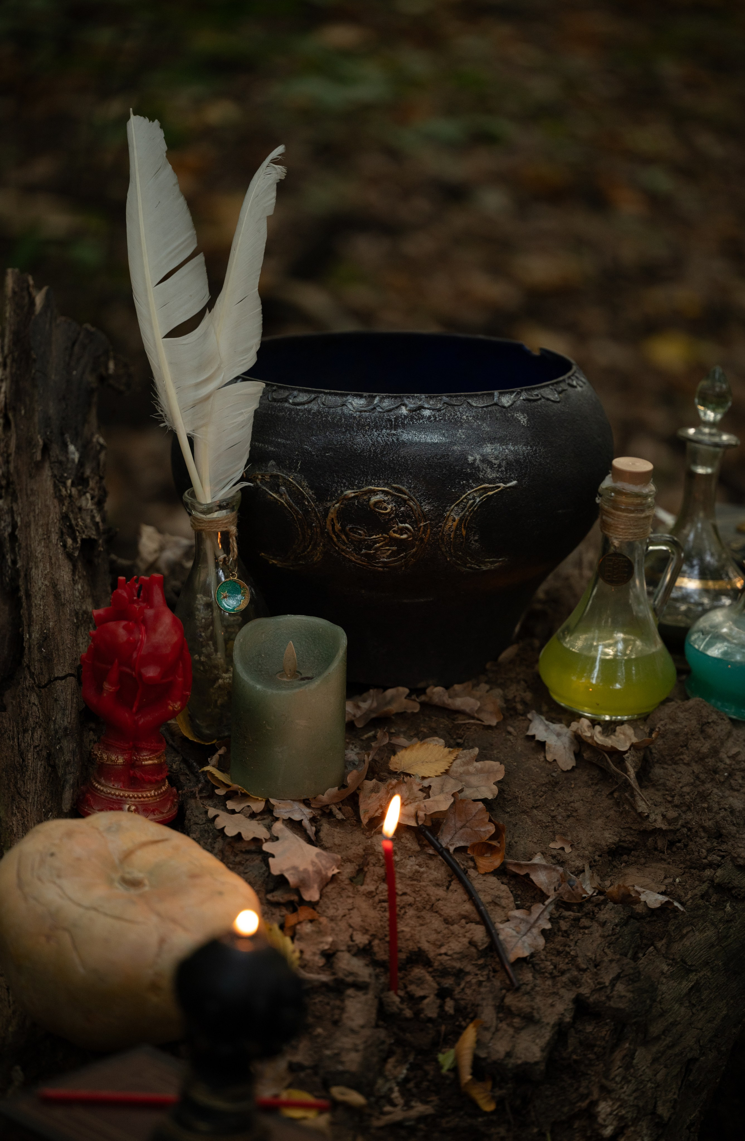 Фотодень «Forest witch». Фотограф Алматы Ольга Колокольникова