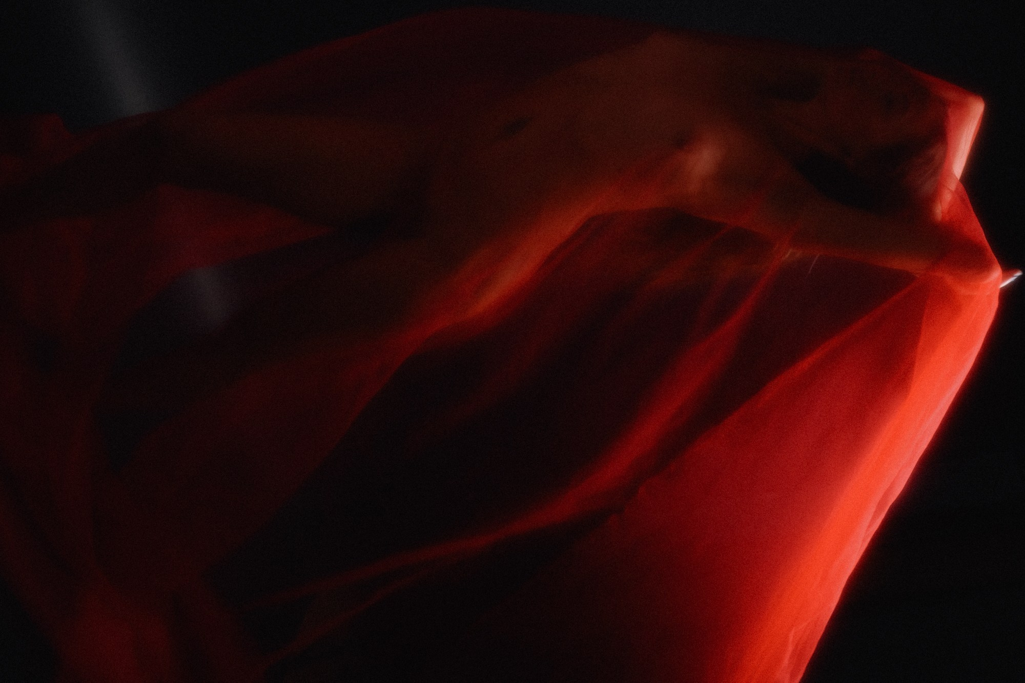 Арт-проект Слои: Ткань и Пленка — Фотограф Дарья Мустафина. Фотограф Дарья Мустафина, Тюмень