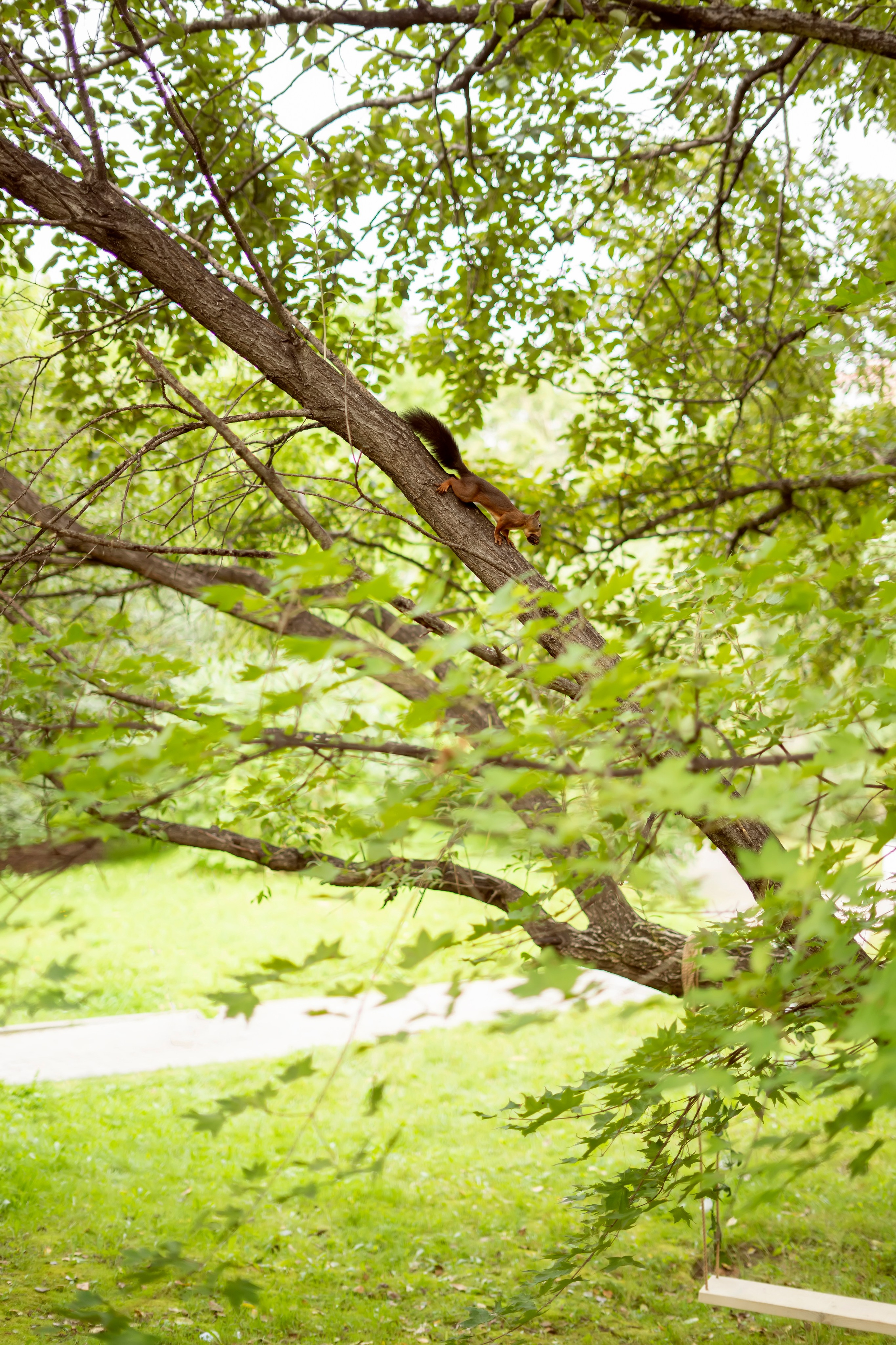 СИЛЬФИДА. Семейный и детский фотограф в Хабаровске Анна Гриневич