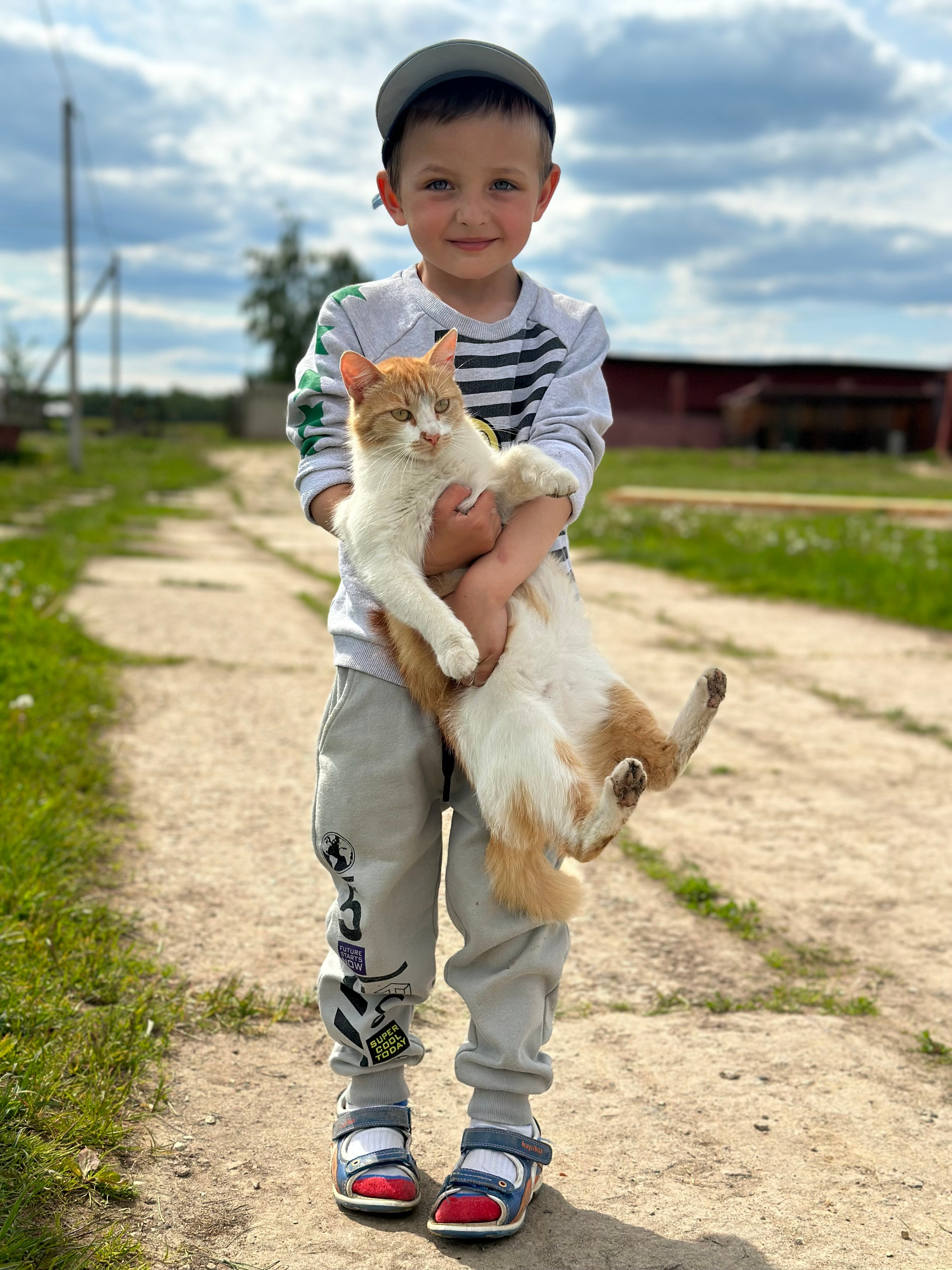 На ферме. Главная