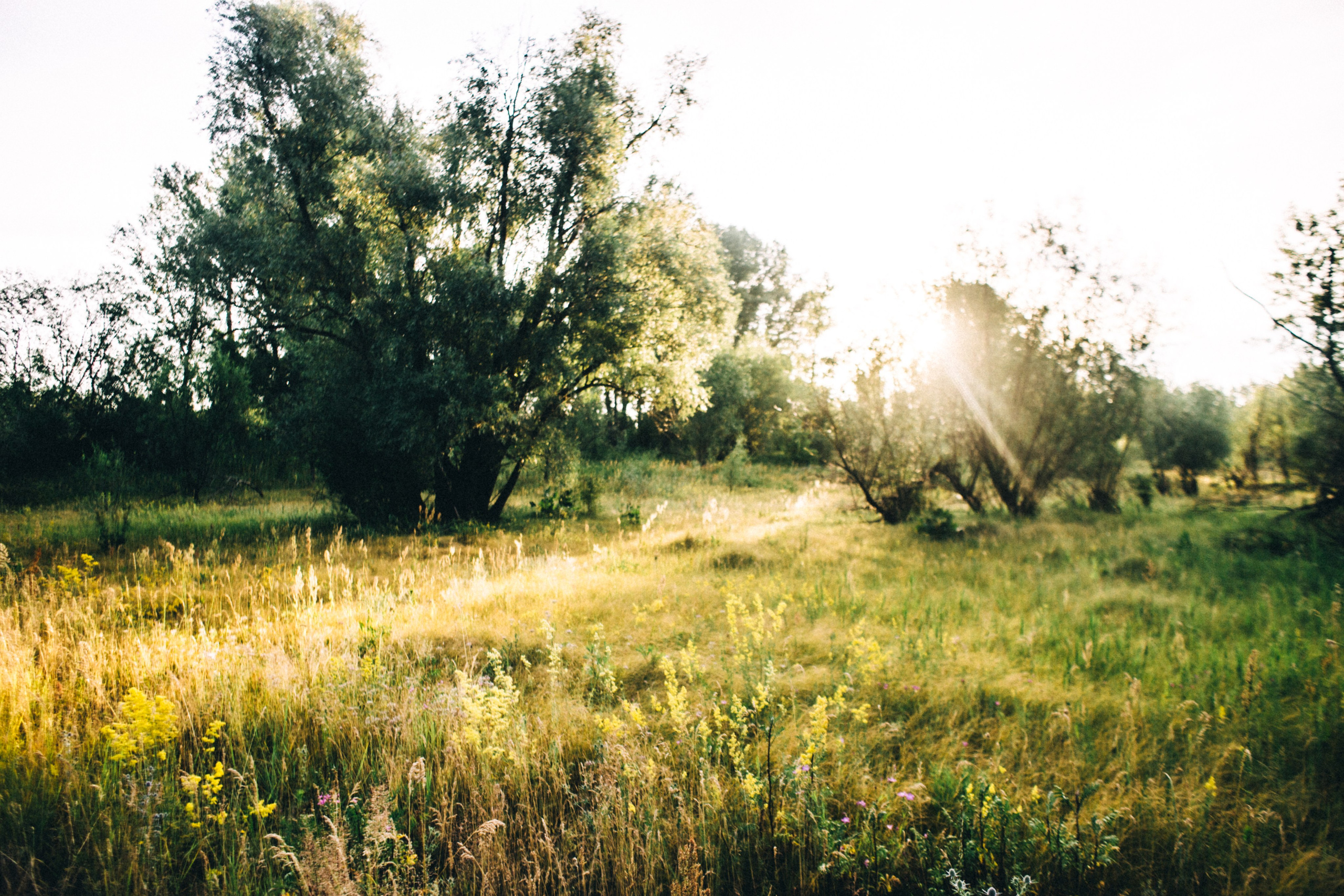 Лена. Рассвет над Окой. Фотограф в Нижнем Новгороде