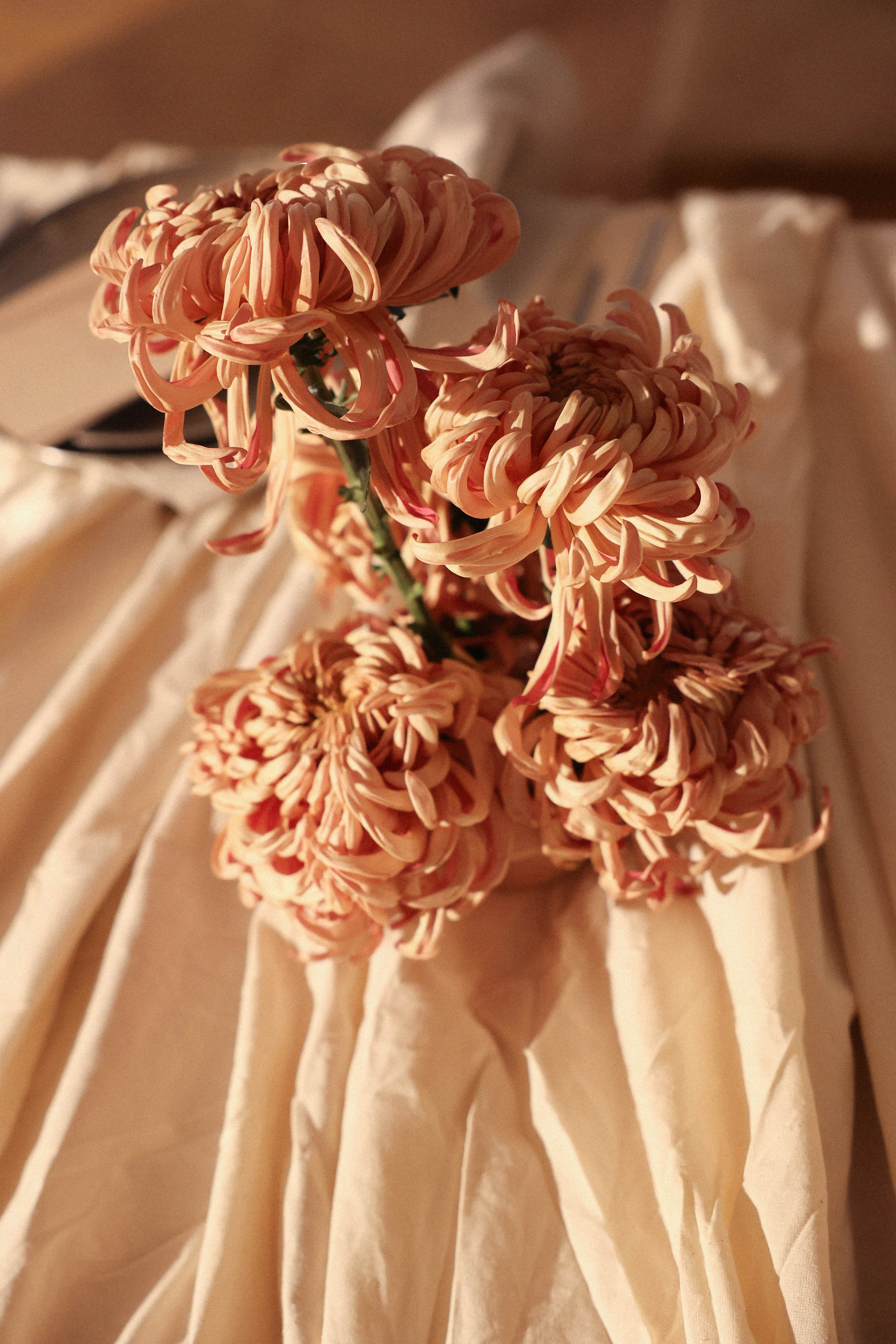 Марко и Мария. Свадебный, репортажный, фотограф Москва и Московская область