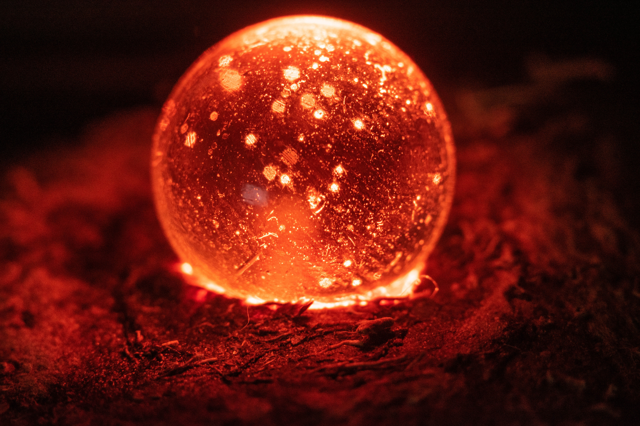 Отзывы. Андрей Винников фотограф в Нижнем Новгороде