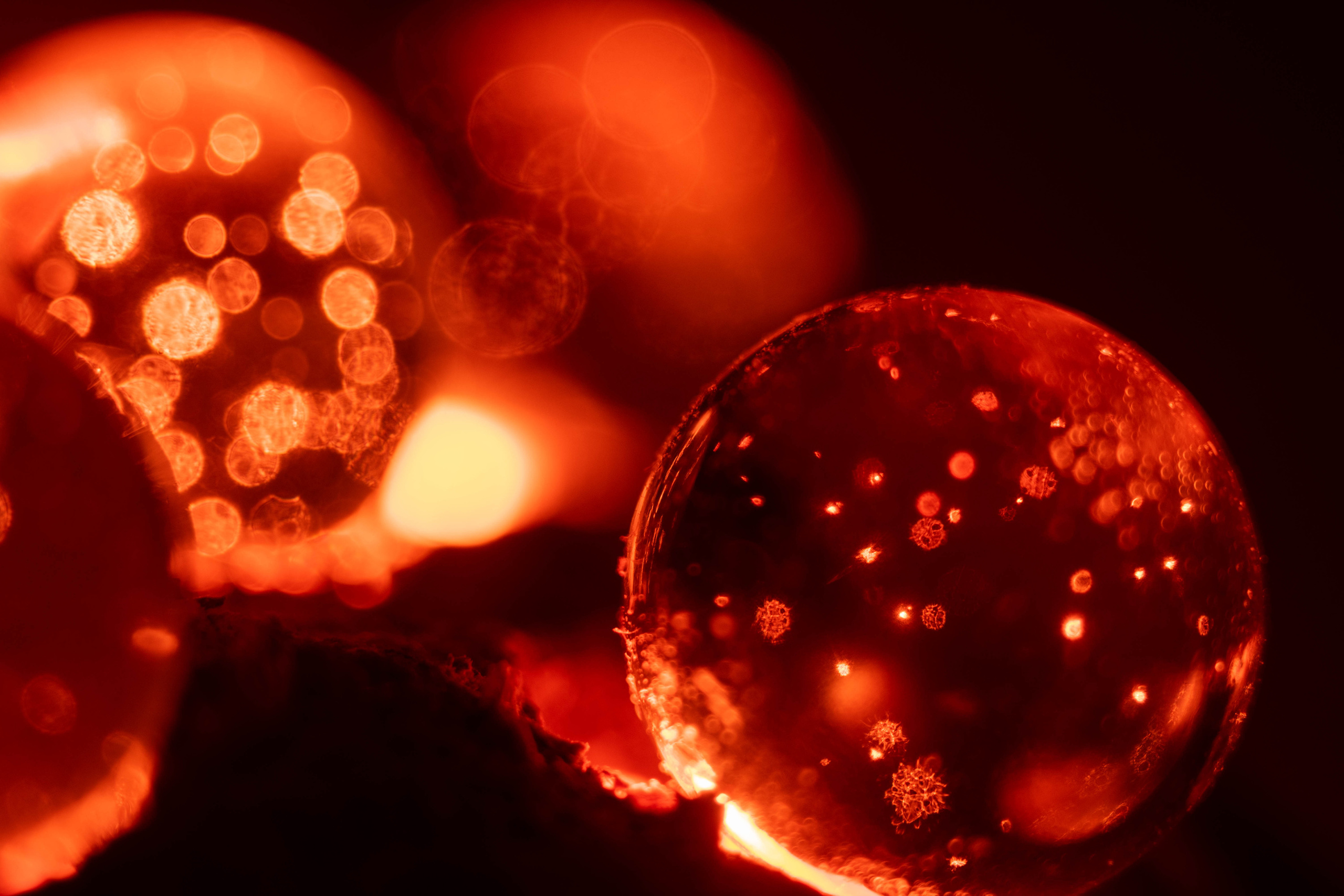 Отзывы. Андрей Винников фотограф в Нижнем Новгороде