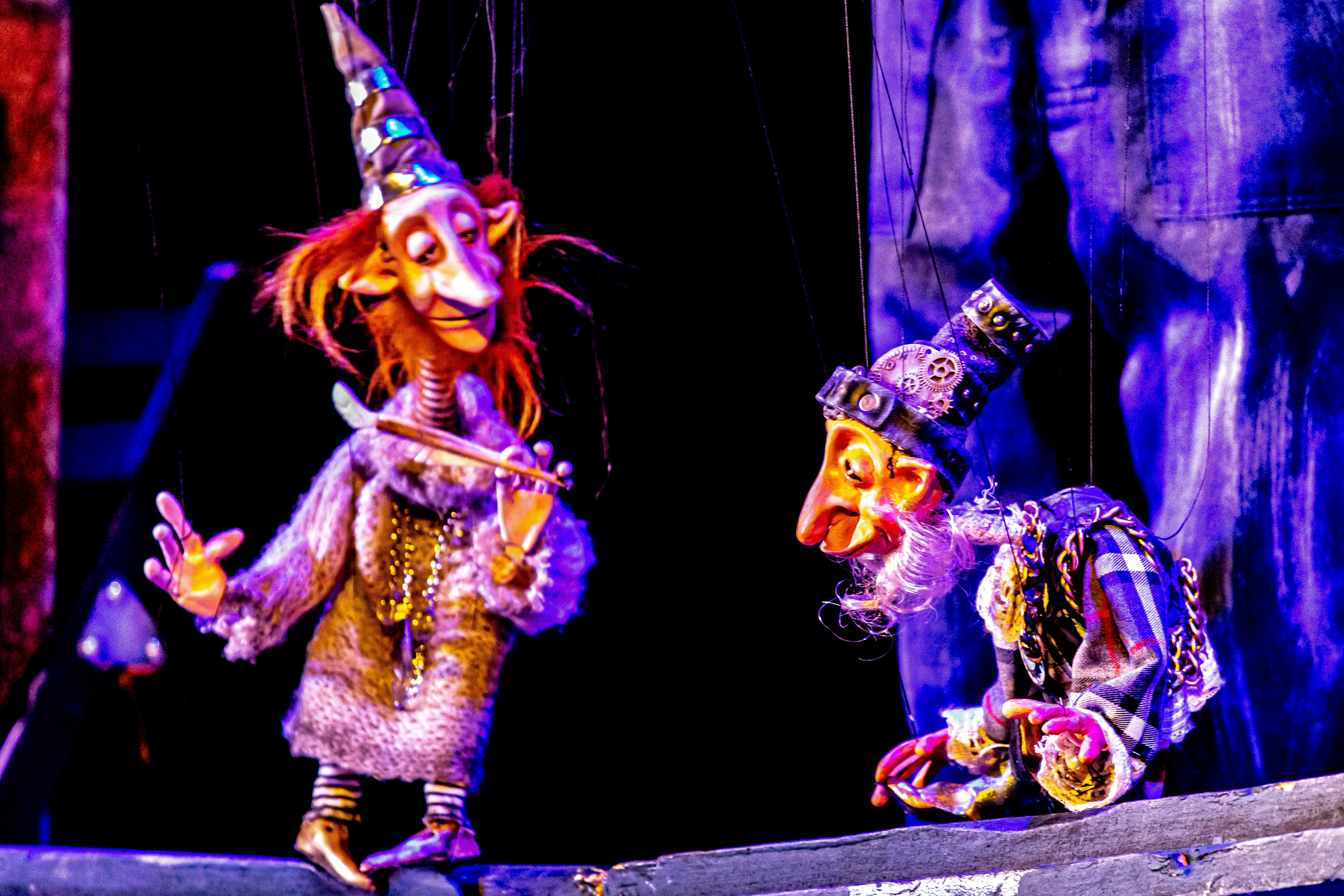 Театрп гномов или настоящие друзья. Фотограф в Сочи Юрий Шептаев