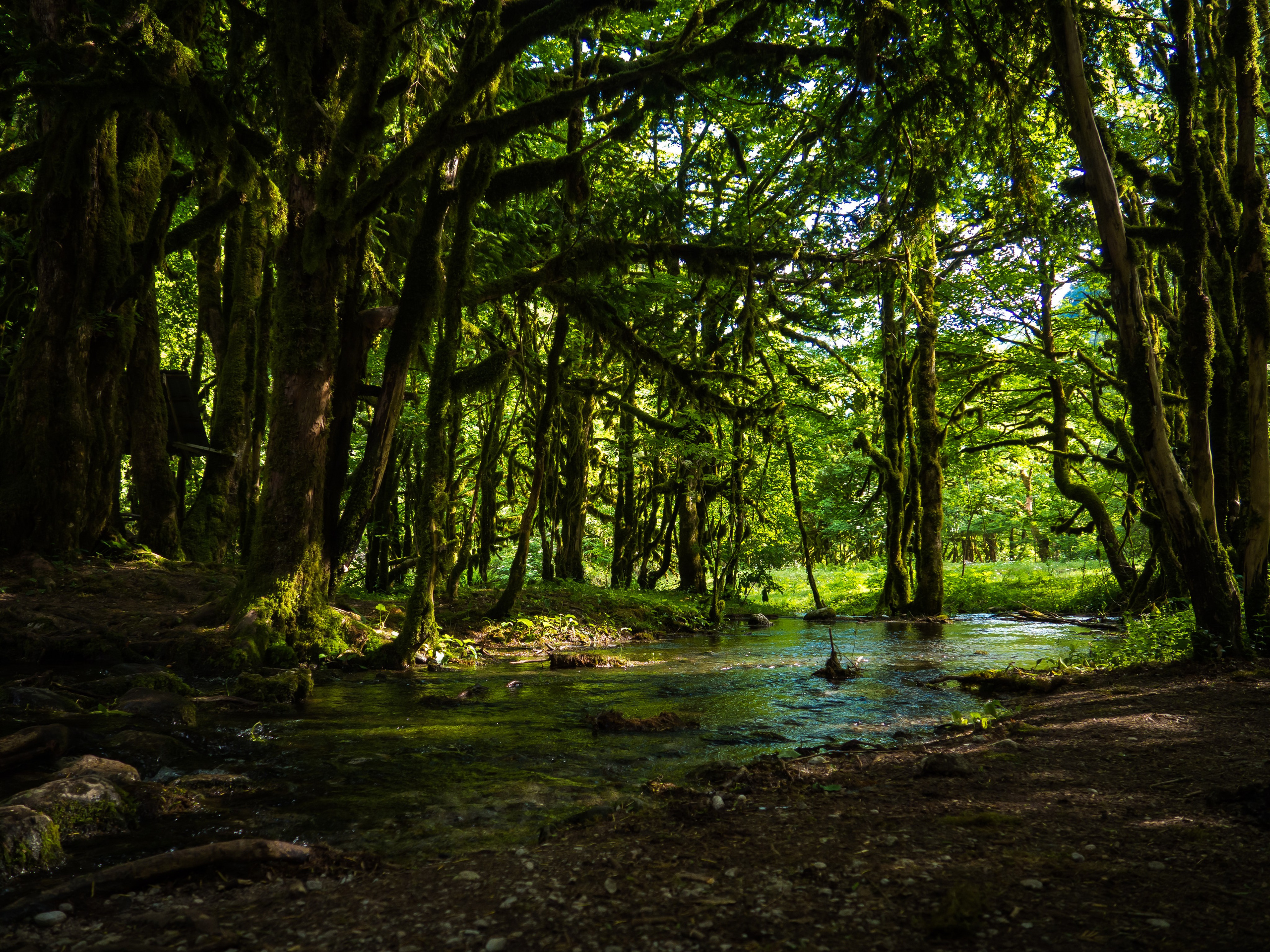 Природа. Фотограф и оператор Роман Фадеев в Екатеринбурге