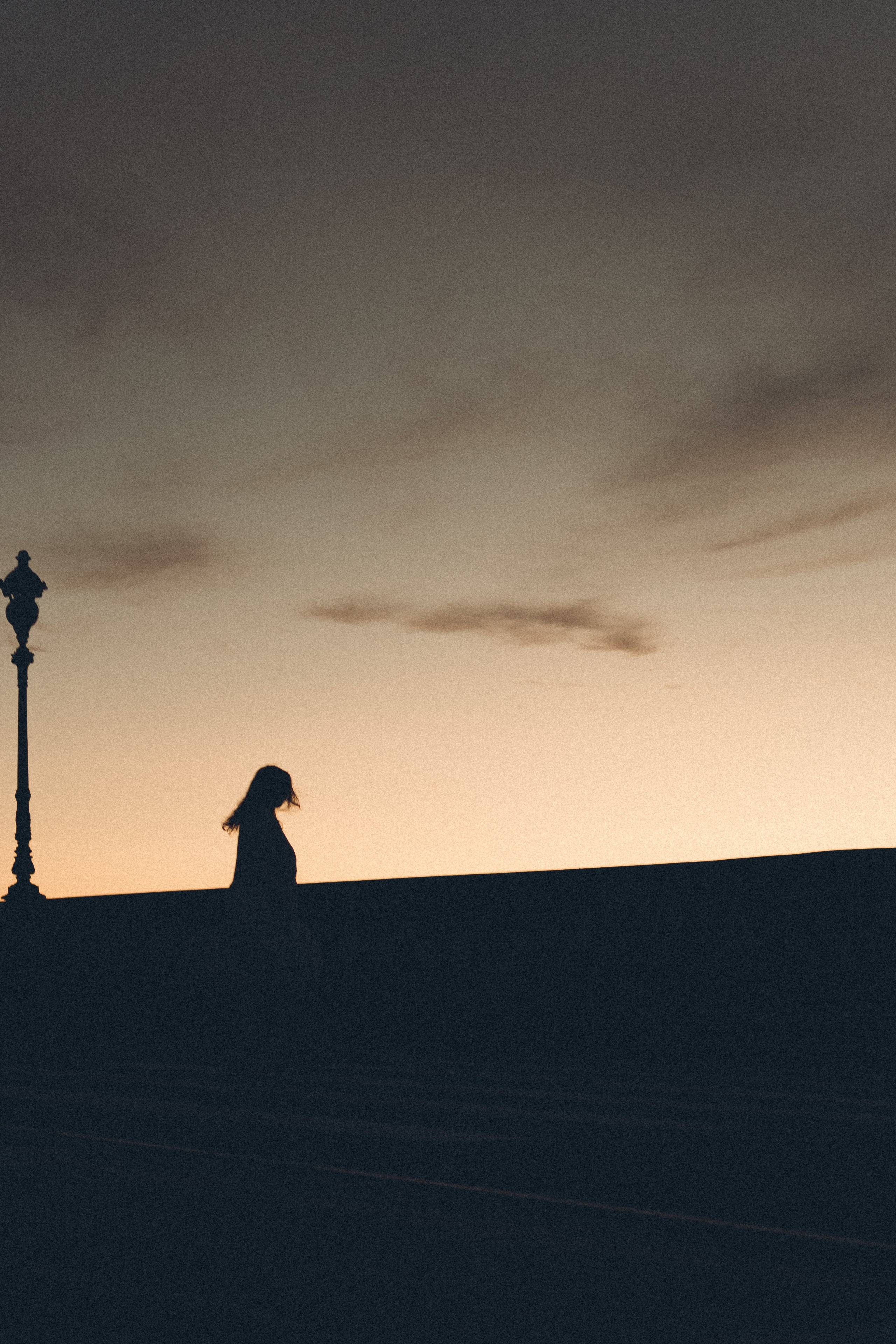 РАССВЕТ С РАЗВОДНЫМИ МОСТАМИ. Профессиональный фотограф, Санкт-Петербург — Виктория Богомолова