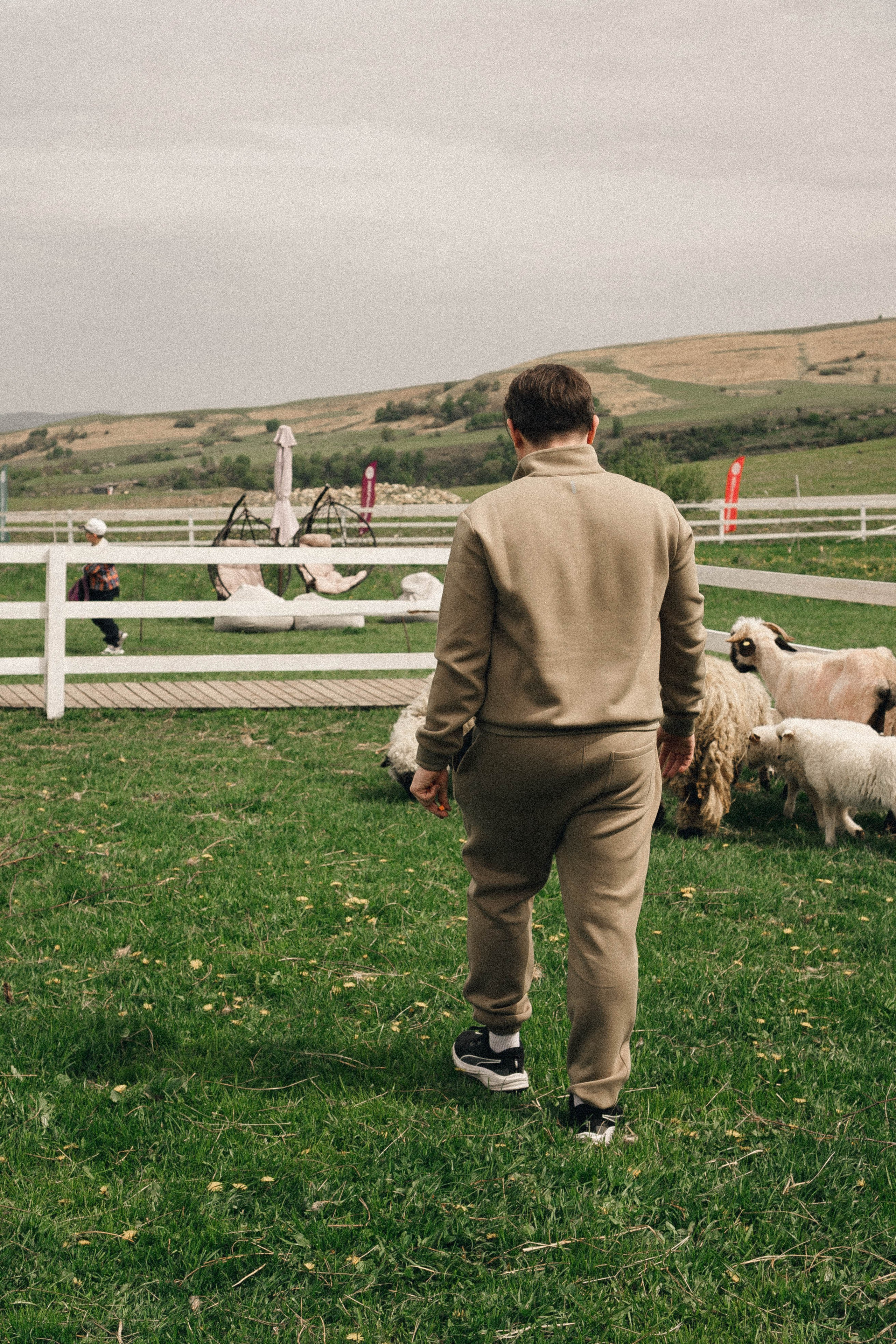Ферма Альпак. Профессиональный фотограф, Санкт-Петербург — Виктория Богомолова