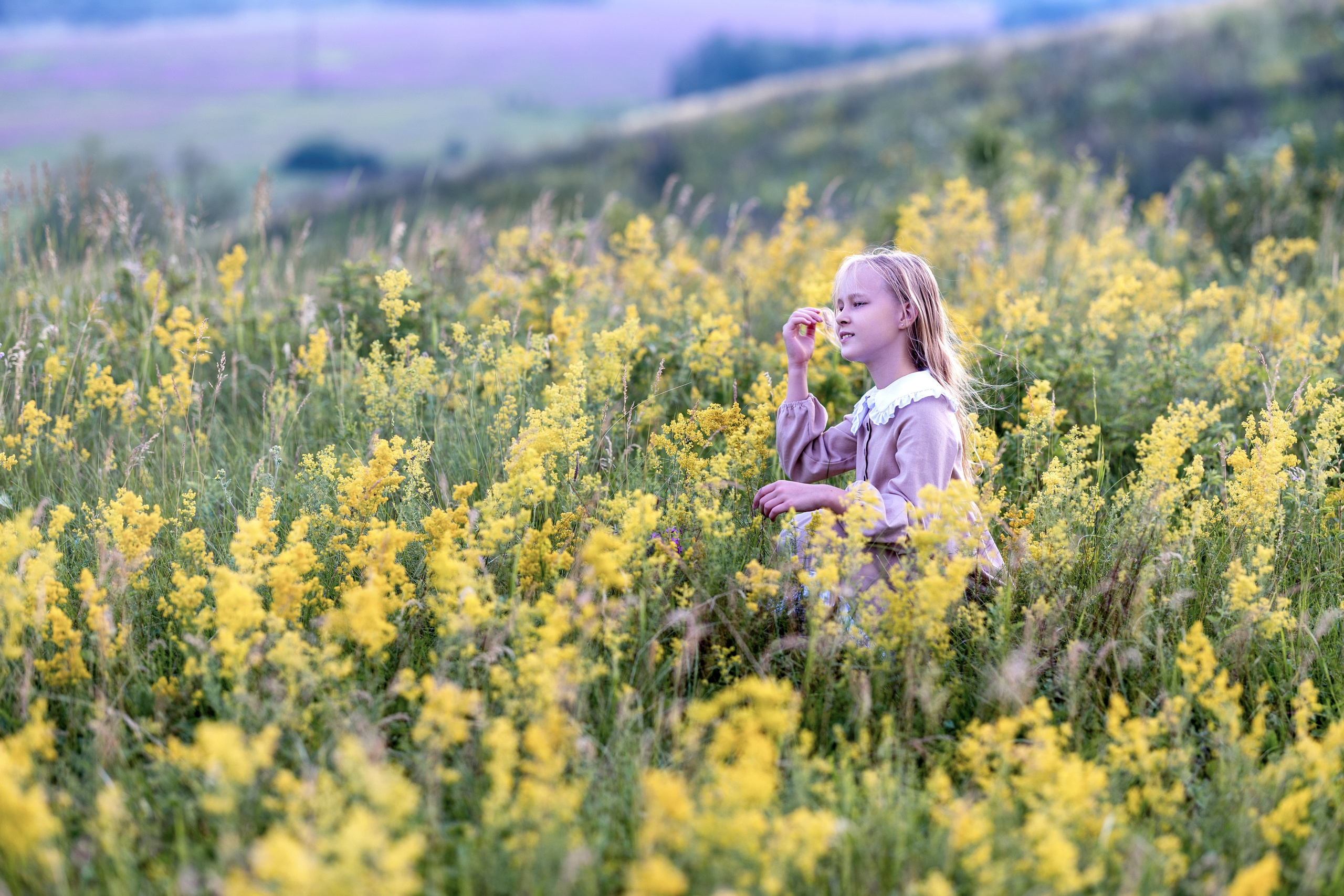 Цветущие поля. Семейный и детский фотограф в Красноярске, Дивногорцева Светлана