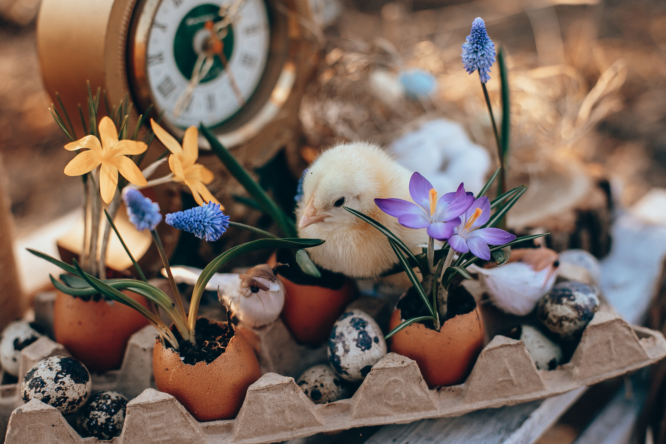 Алена, Андрей и Рома. Свадебный и семейный фотограф Захарова Юлия