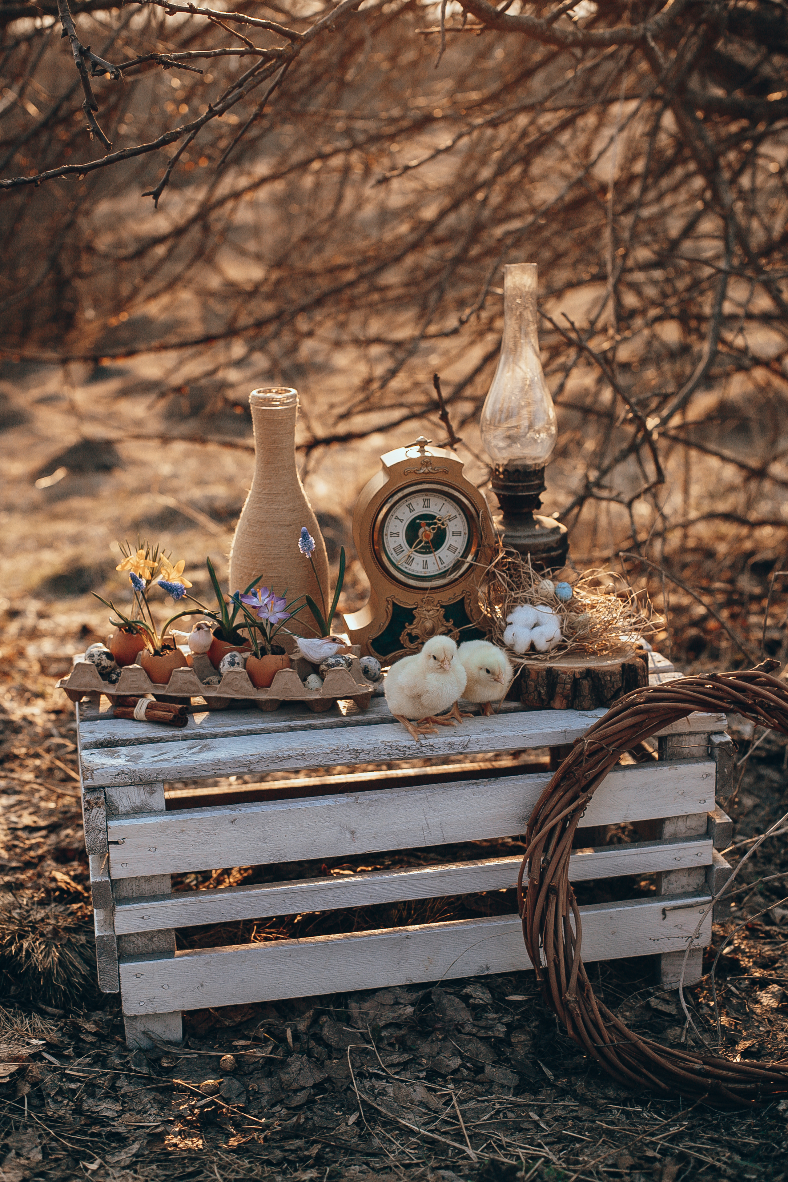 Алена, Андрей и Рома. Свадебный и семейный фотограф Захарова Юлия