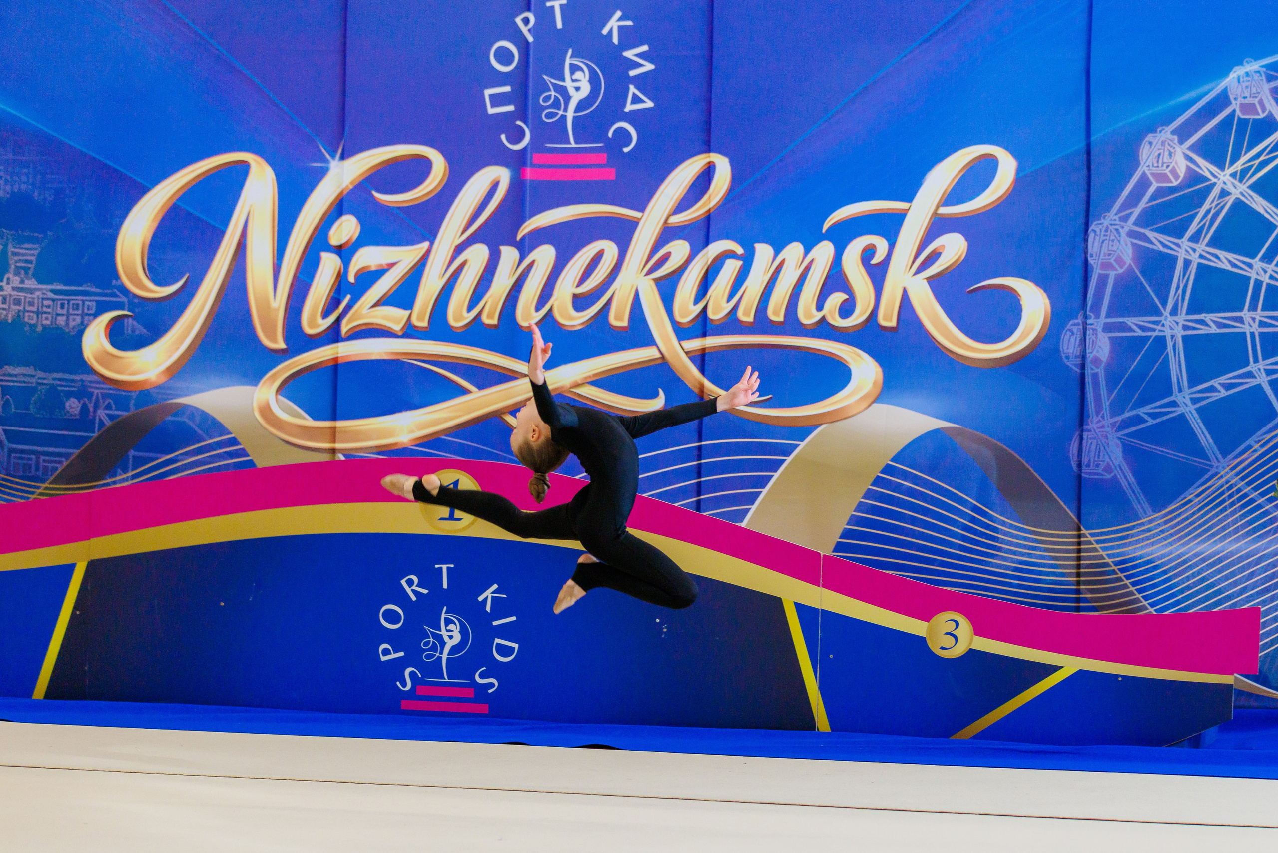 Художественная гимнастика