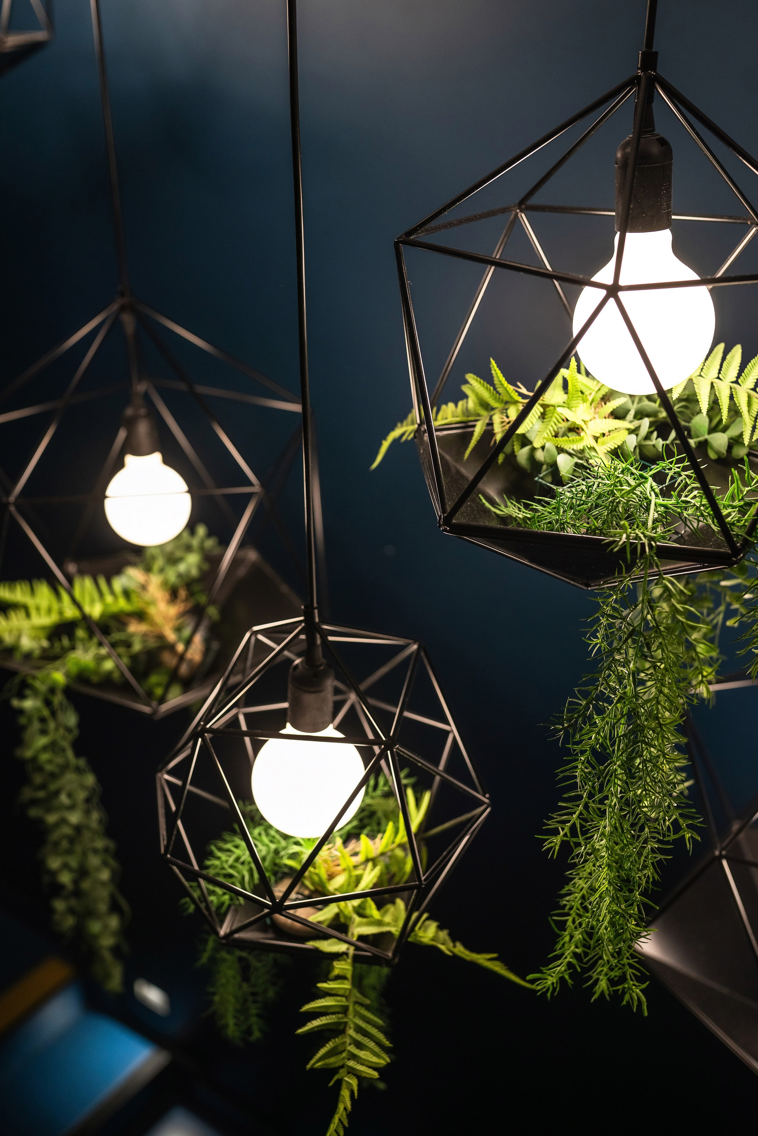 Фотограф на новогодний корпоратив. Фотограф Сочи