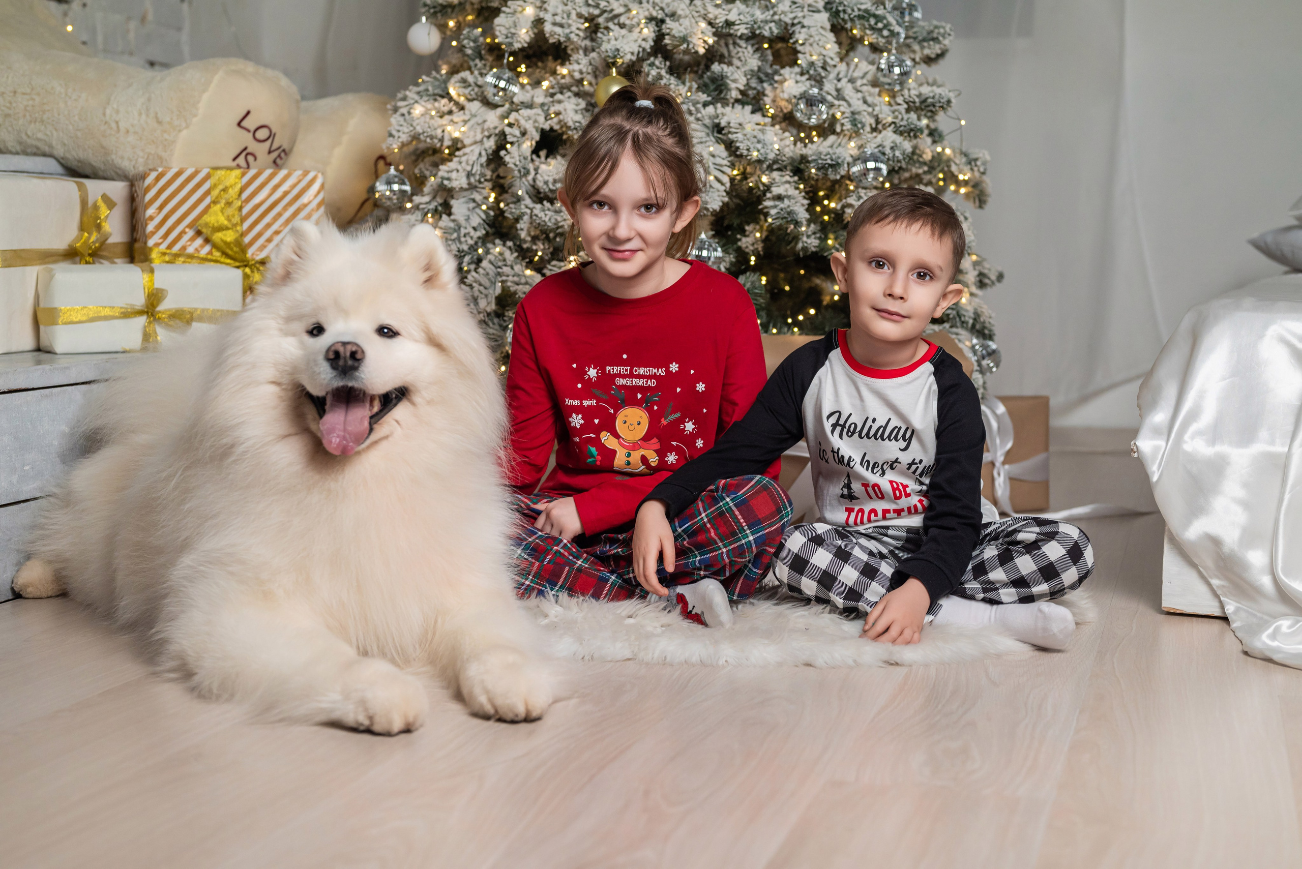 Фотопроект с самоедом 2023 г. Фотограф в городе Салават