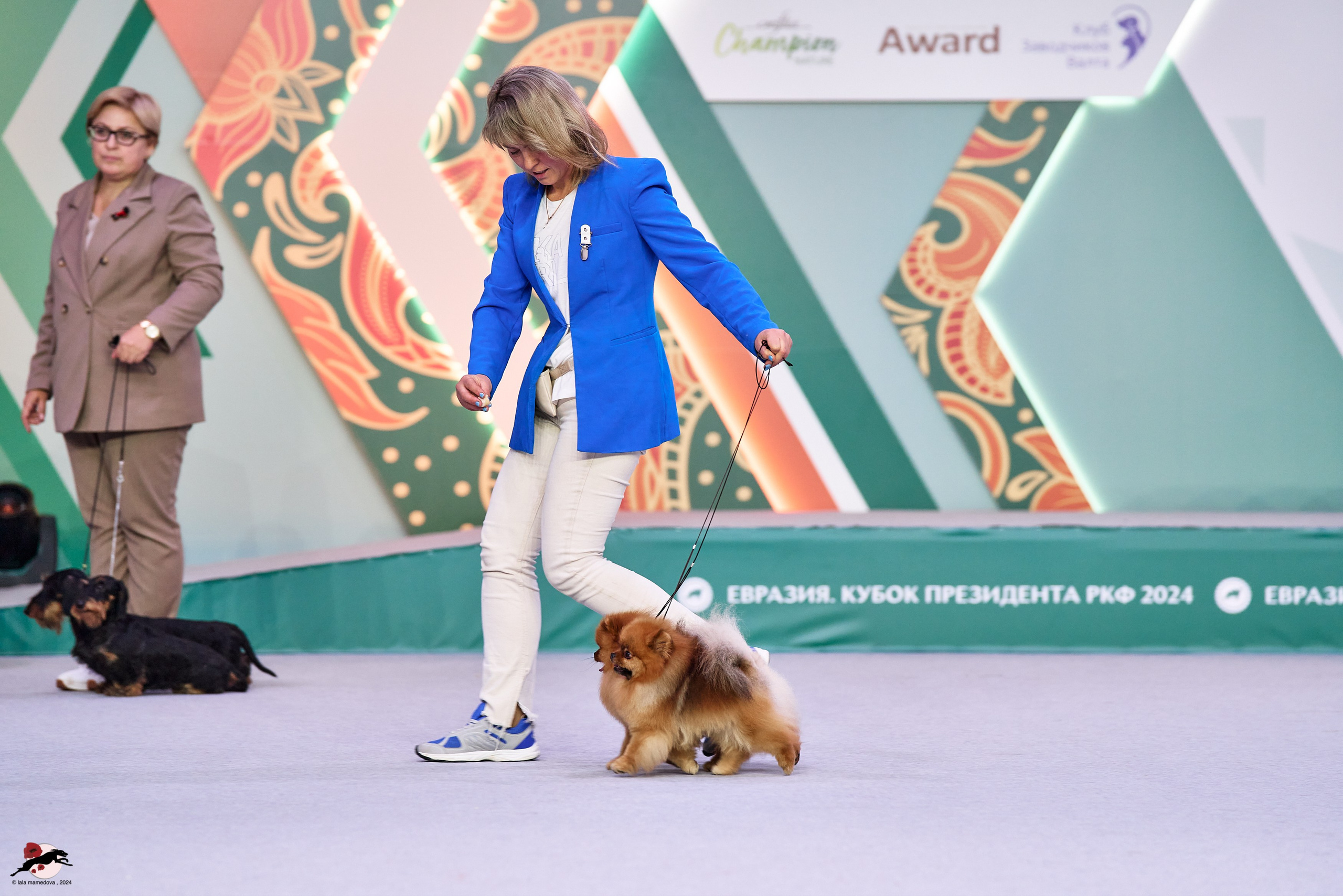 17.11.2024 «ЕВРАЗИЯ. КУБОК СНГ 2024»