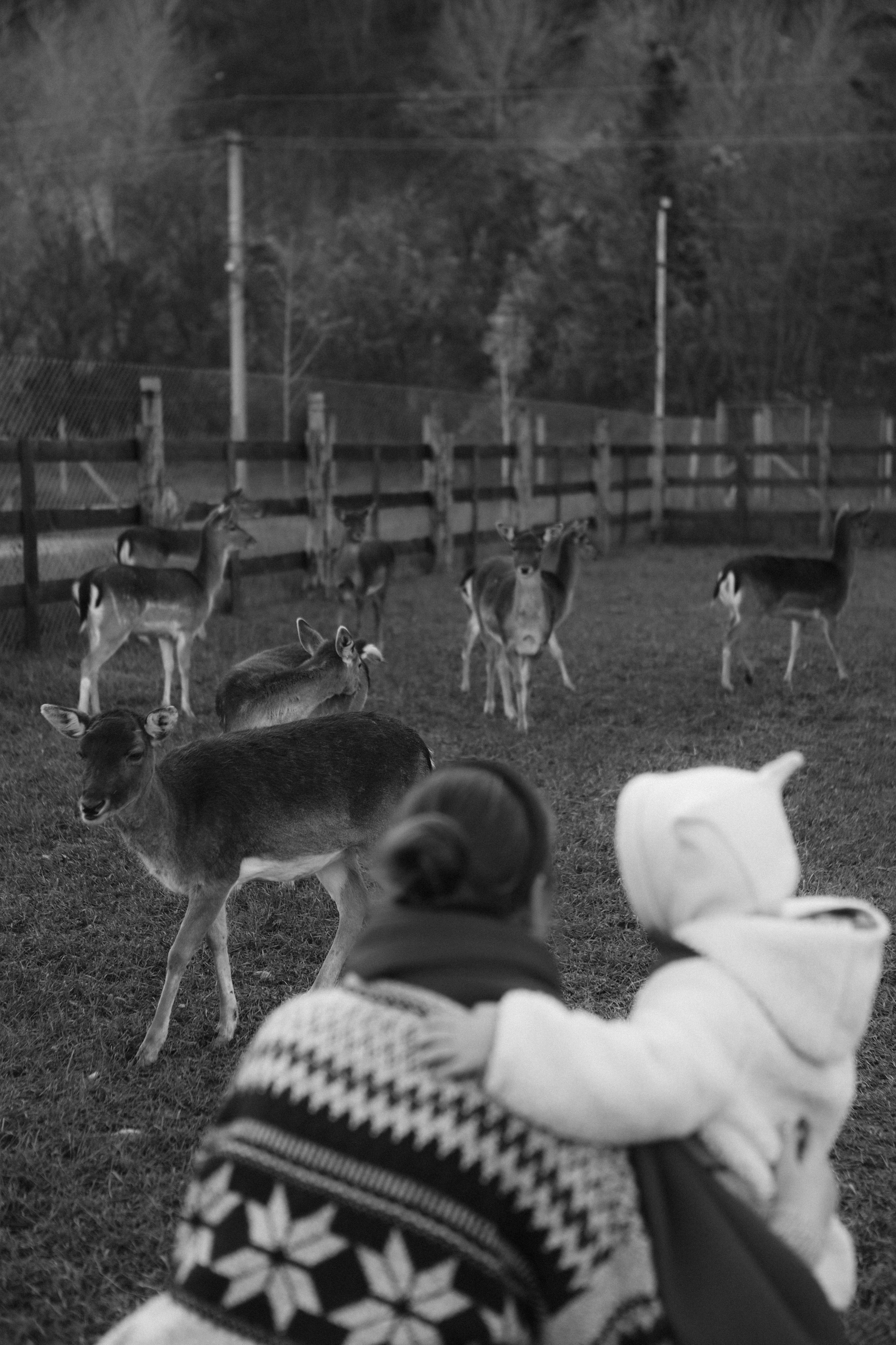 Чудесная девочка Майя и её родители. Фотограф в Крыму Богдана Захарчук