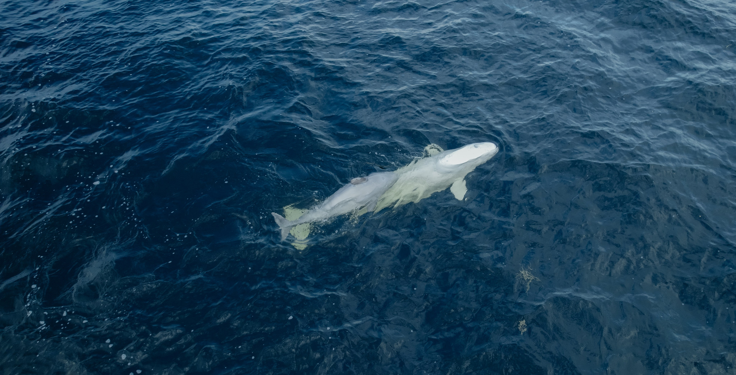 ЭТНОПАРК ГЕОГРАФИКА. Создание контента | Фото | Видеосъемка | Александр Ярков