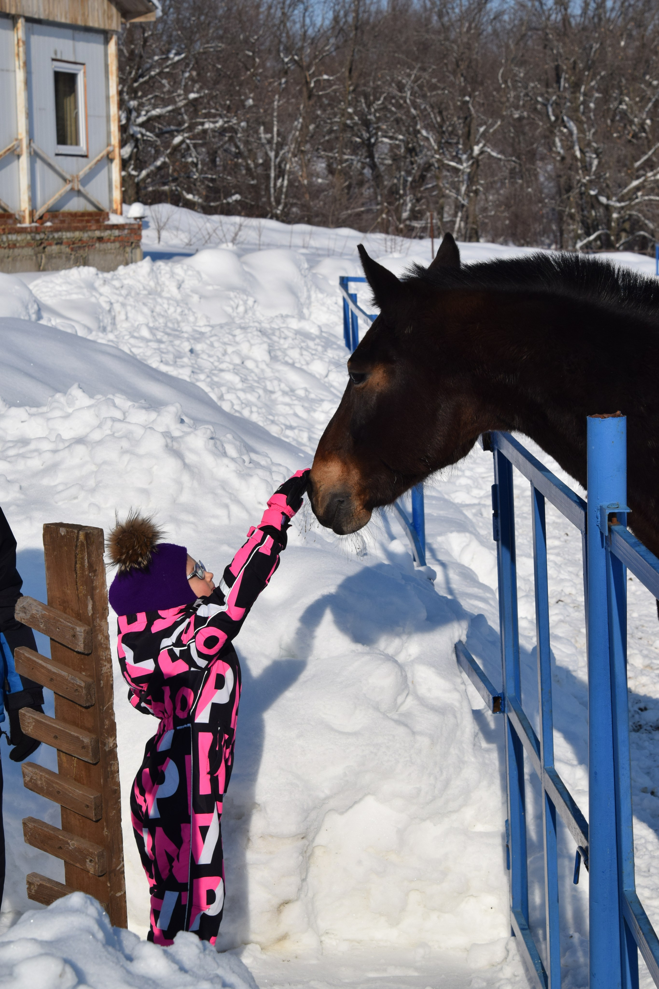Дети и лошади. Конный фотограф в Саратове Юлия Иванова