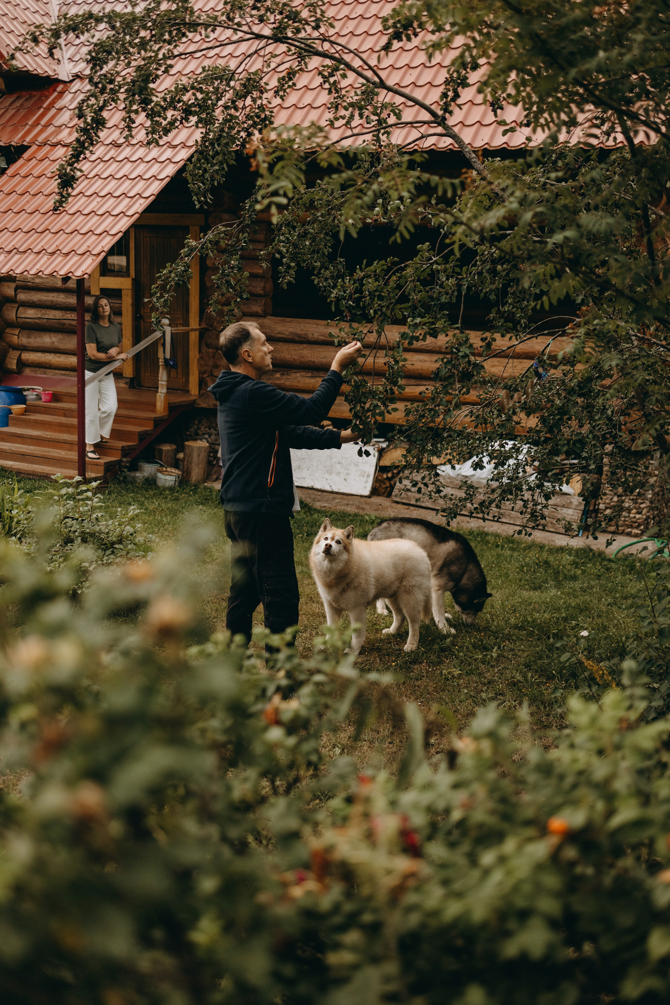 Дом у реки. Фотограф — Анималист | Санкт-Петербург