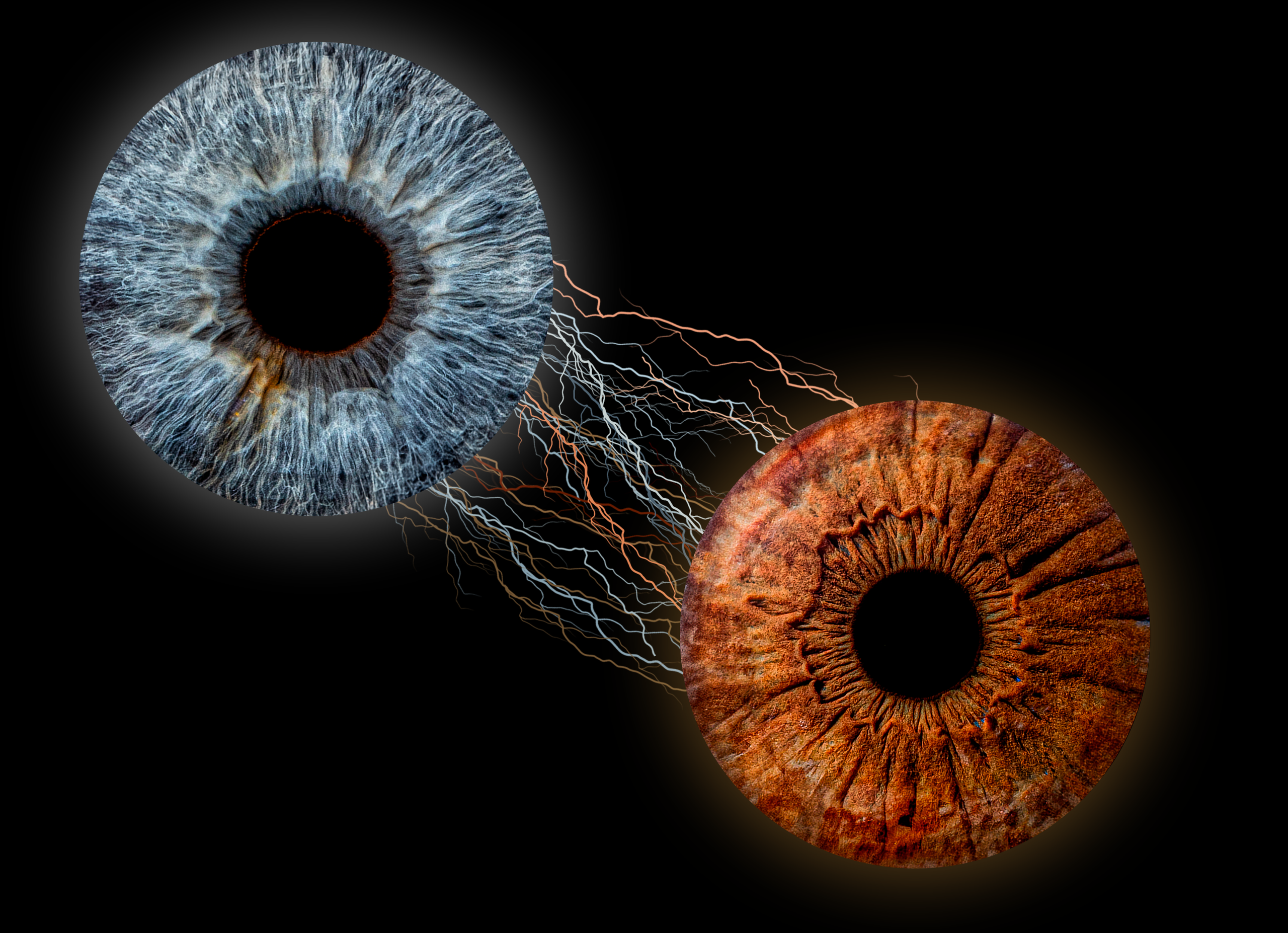 Эффекты. Макро Фото радужки глаза в Зеленоградске