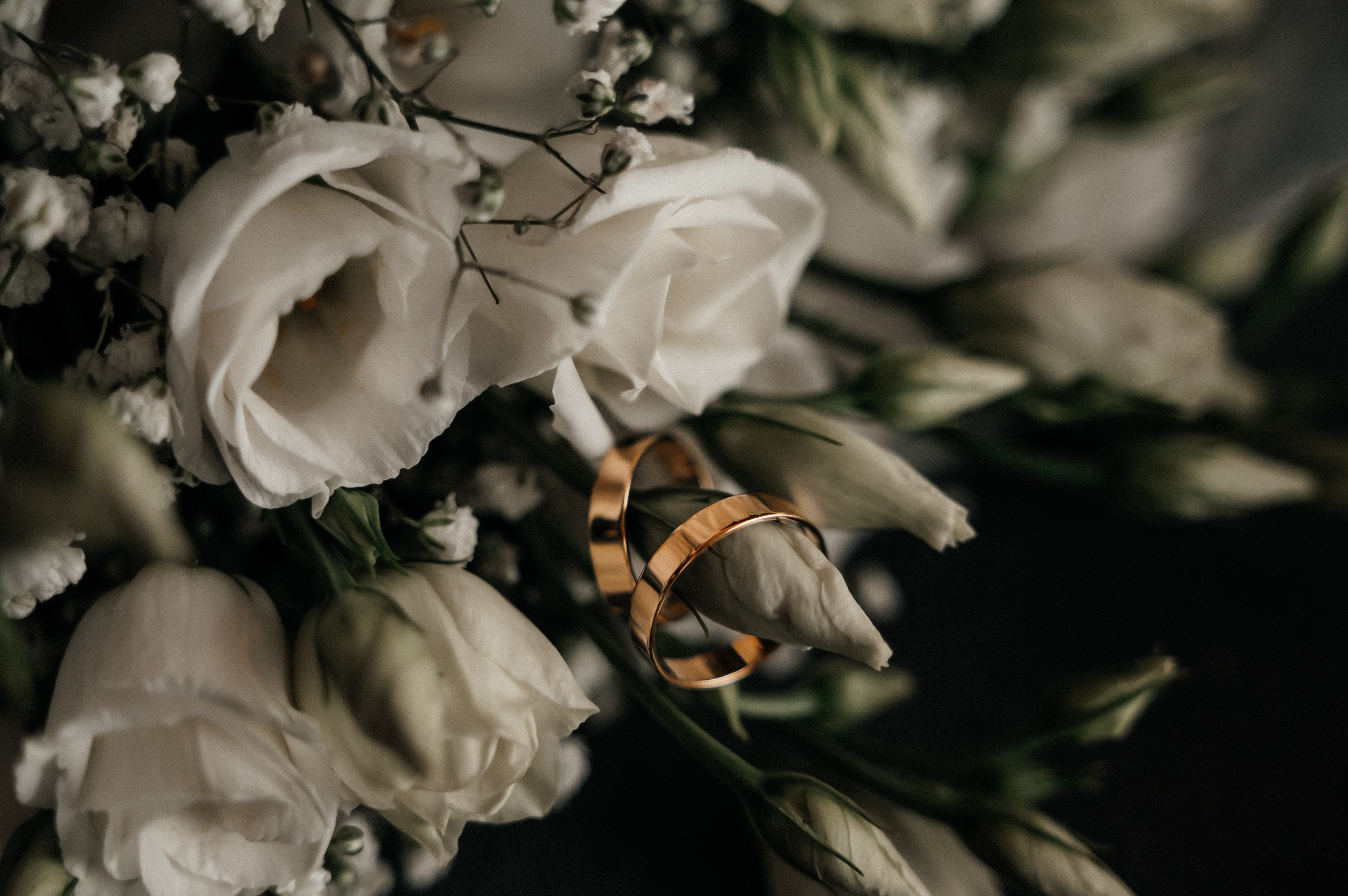 Ян и Ника 22.06.2024. Свадебный и семейный фотограф в городе Смоленске