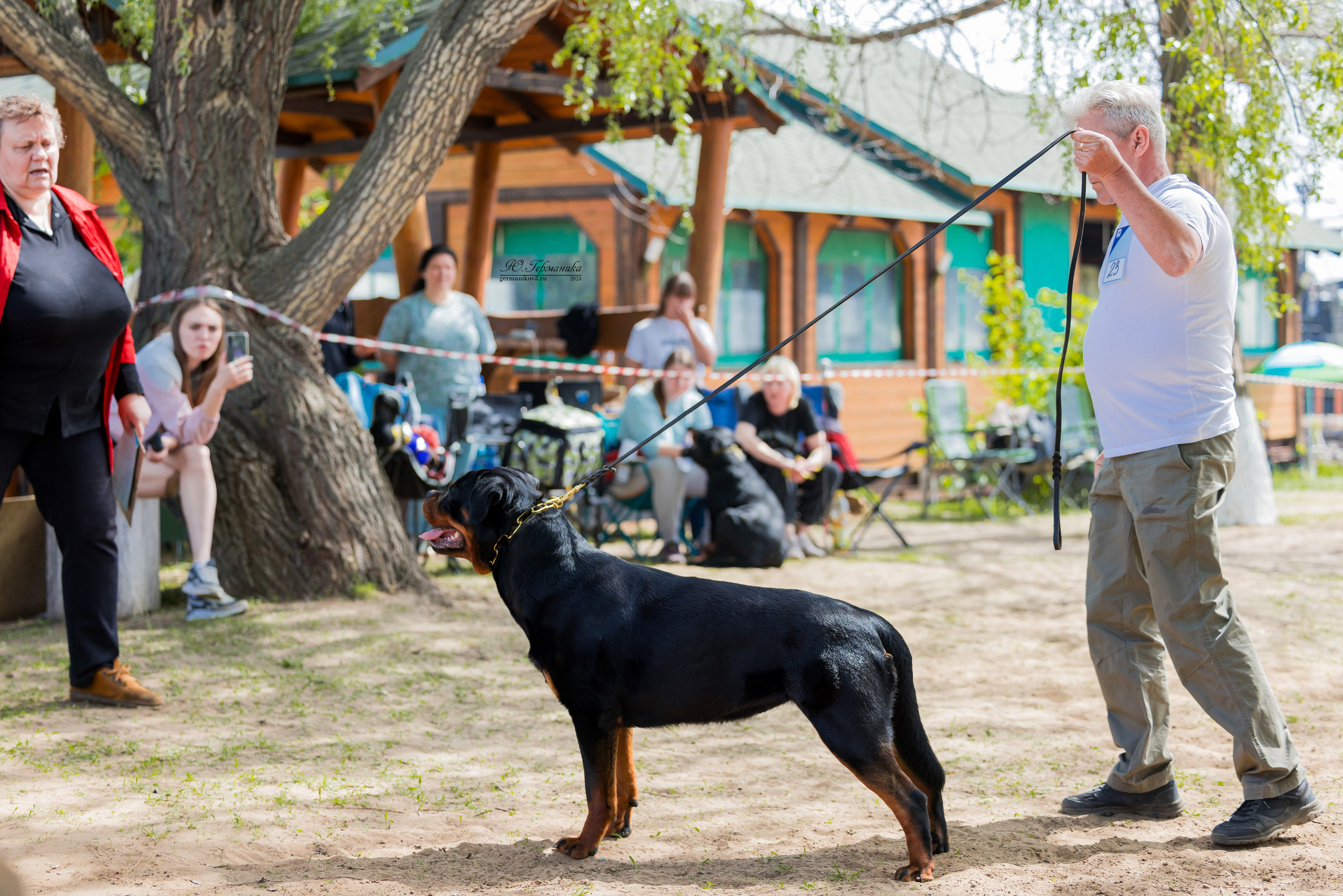Саратов 2 х моно ротвейлеров 28-29.04.2024. Фотограф-анималист Юлия Германика