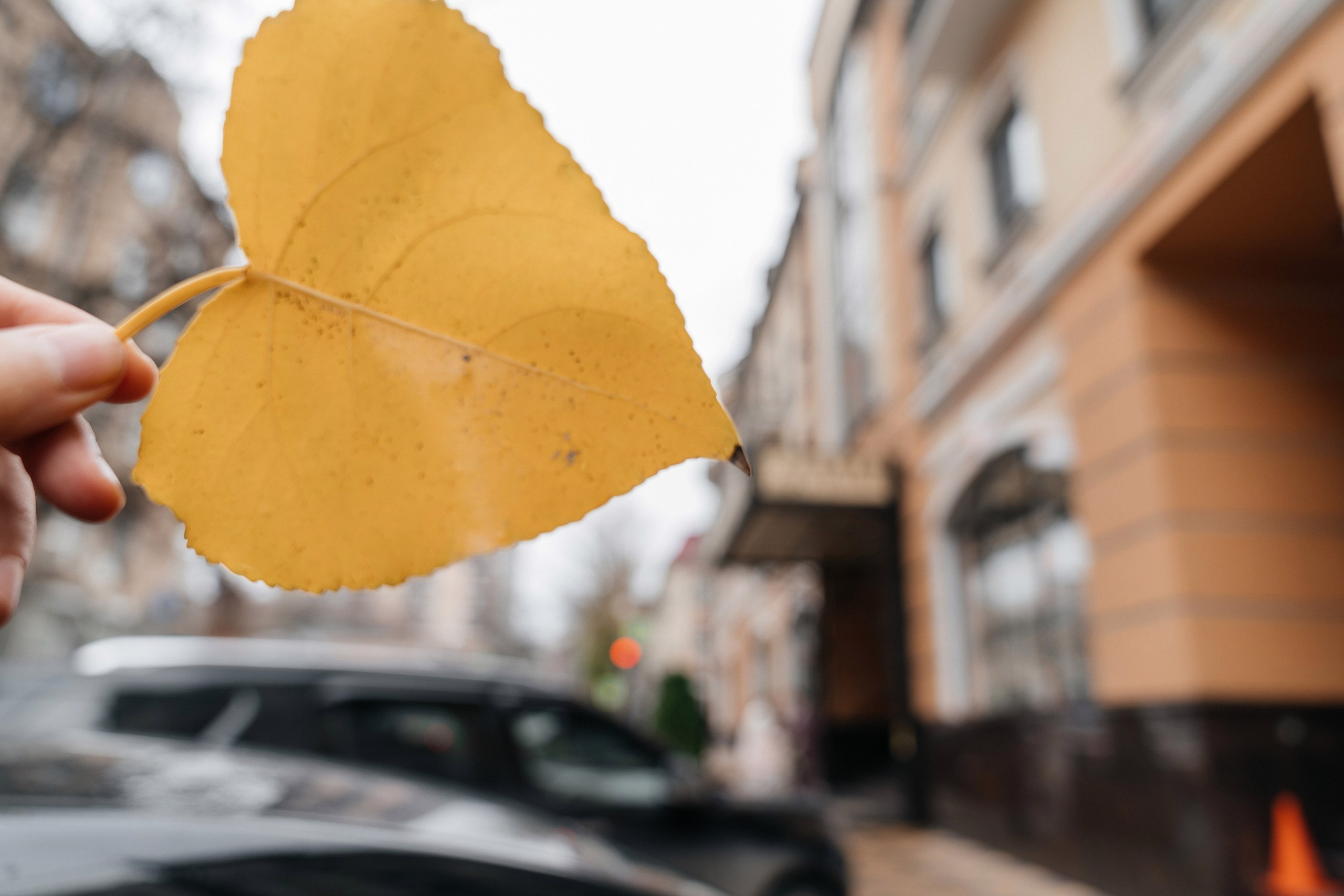 Валерий & Александра. Lokos.pro Ник Соколов Фото и Видео Москва/Ростов-на-Дону