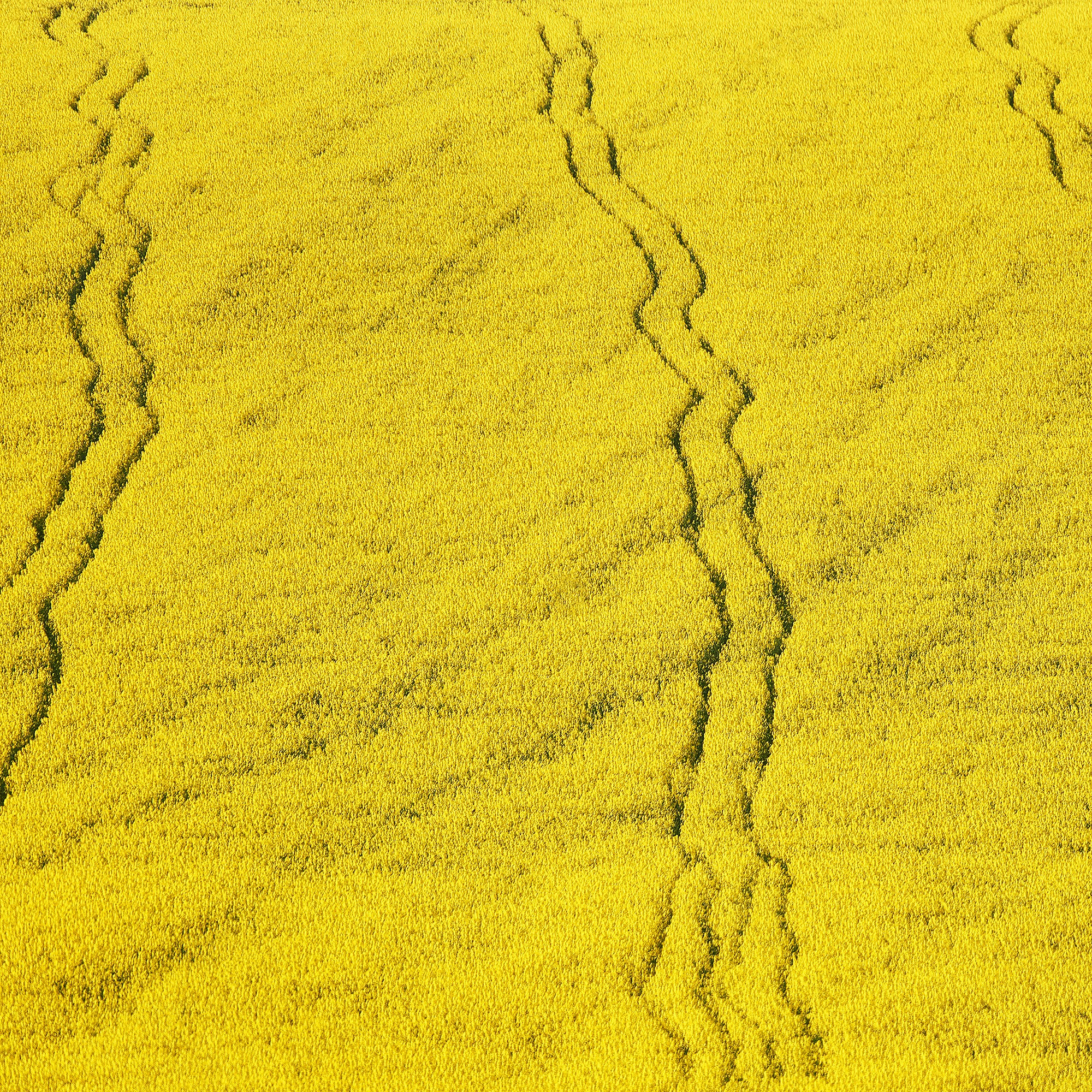 Текстуры — природа. Яркие фото на Чёрном море