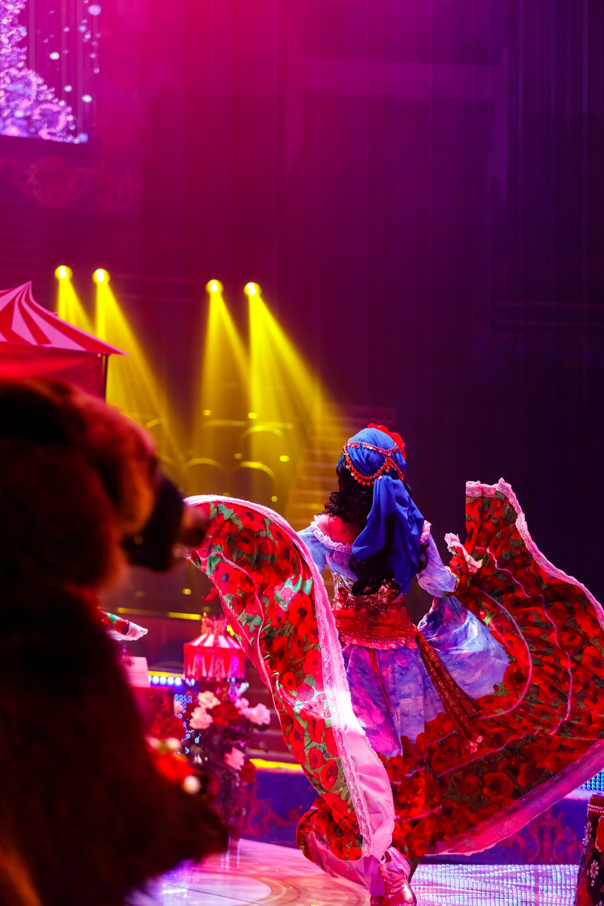 Сочинский росгорцирк Шоу Гии Эрадзе цирк. Профессиональный фотограф в Сочи Виктория Джой. Обучение