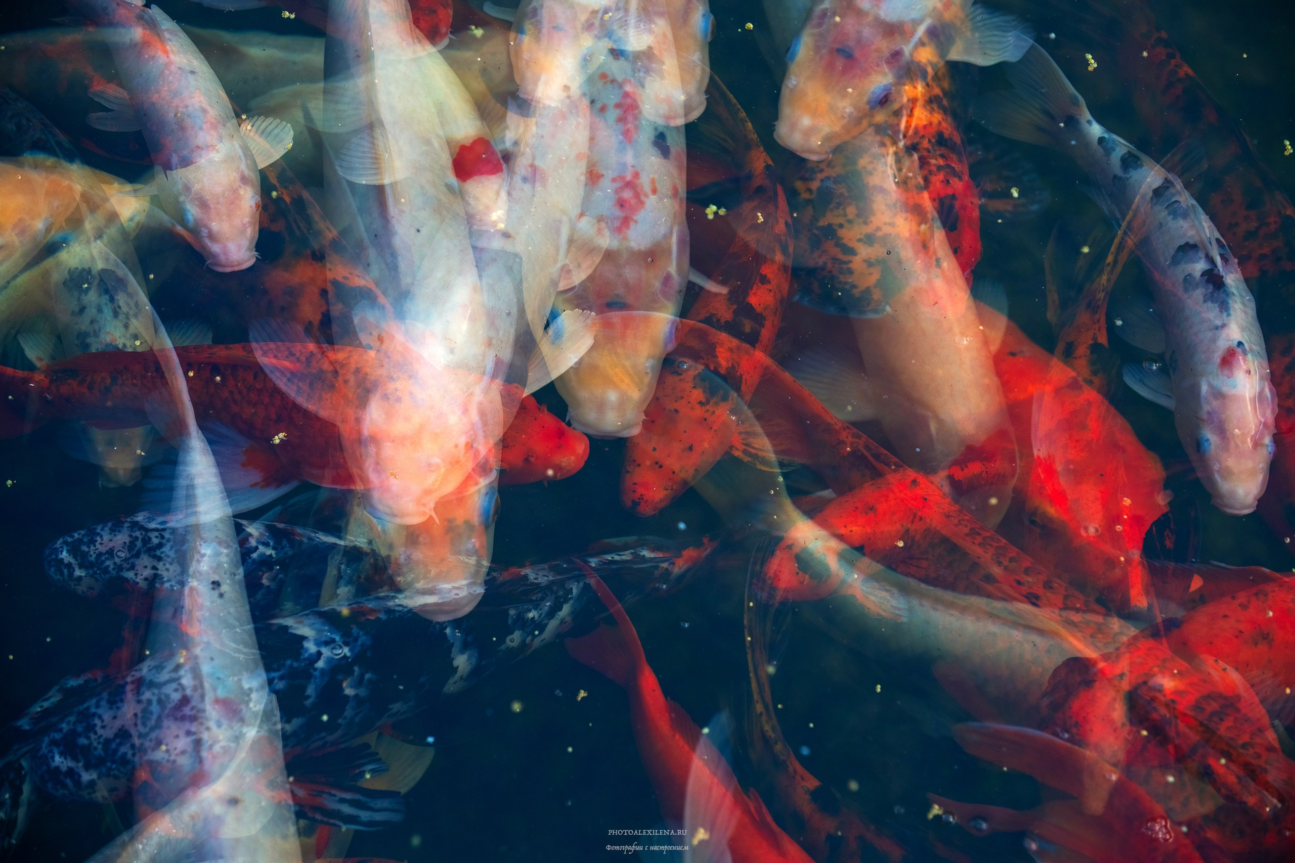 Четвёртое измерение. Авторские стильные фотокартины