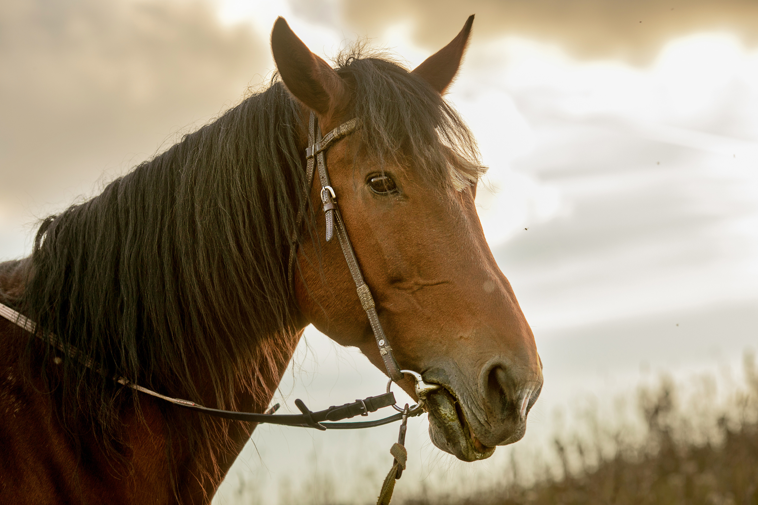 Ветер в волосах. Детский и семейный фотограф Муксимова Ирина