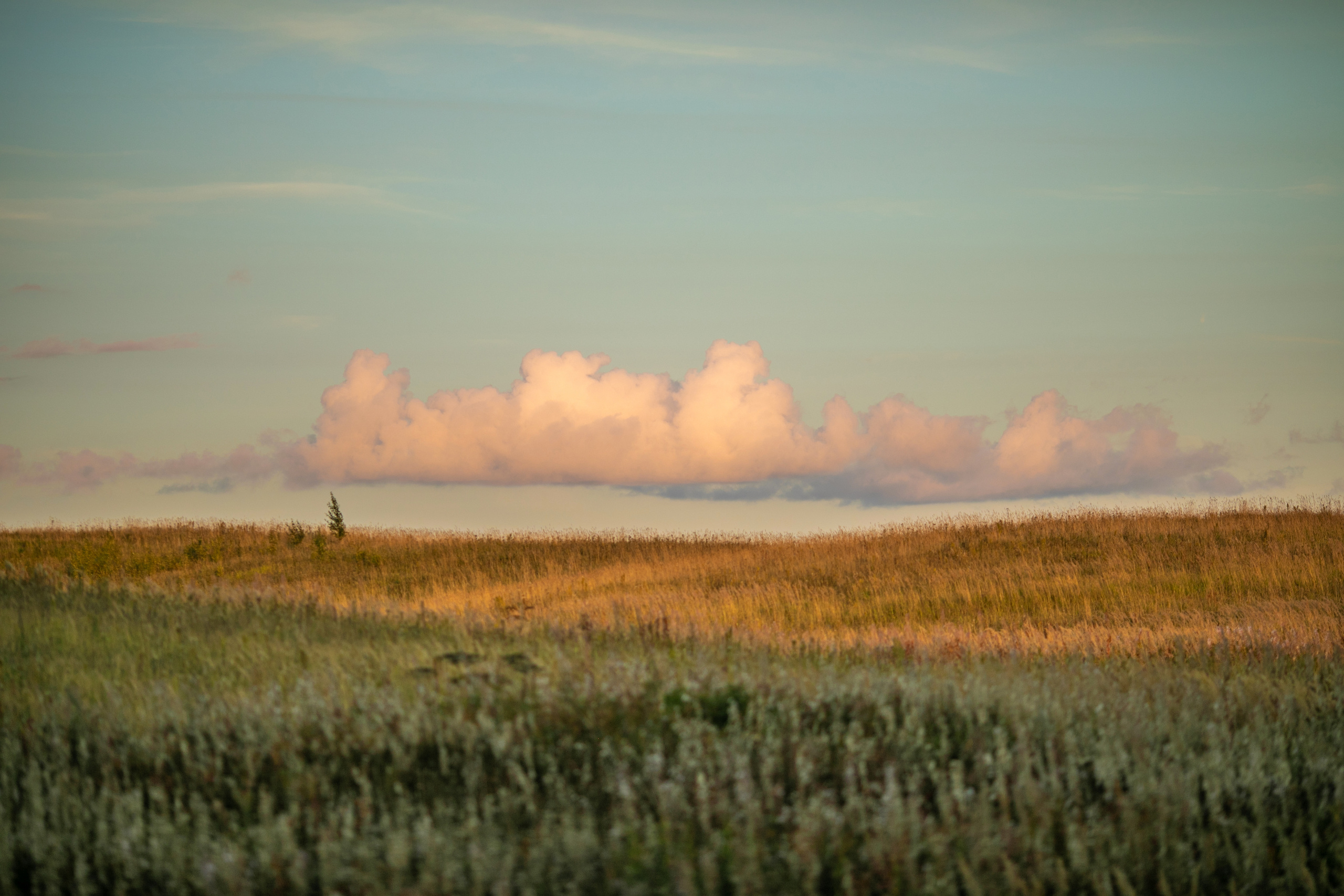 Ветер в волосах. Детский и семейный фотограф Муксимова Ирина