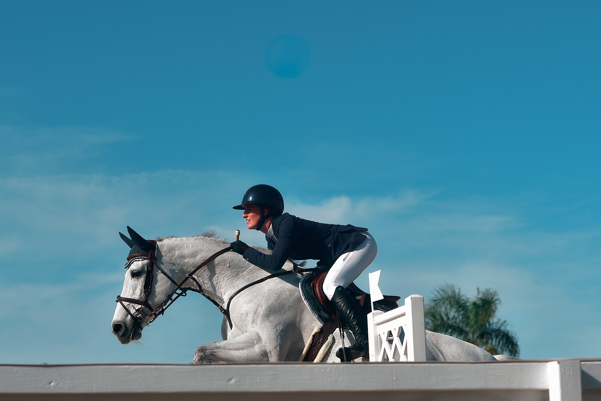 Конкур. Конный фотограф Alesya Safe
