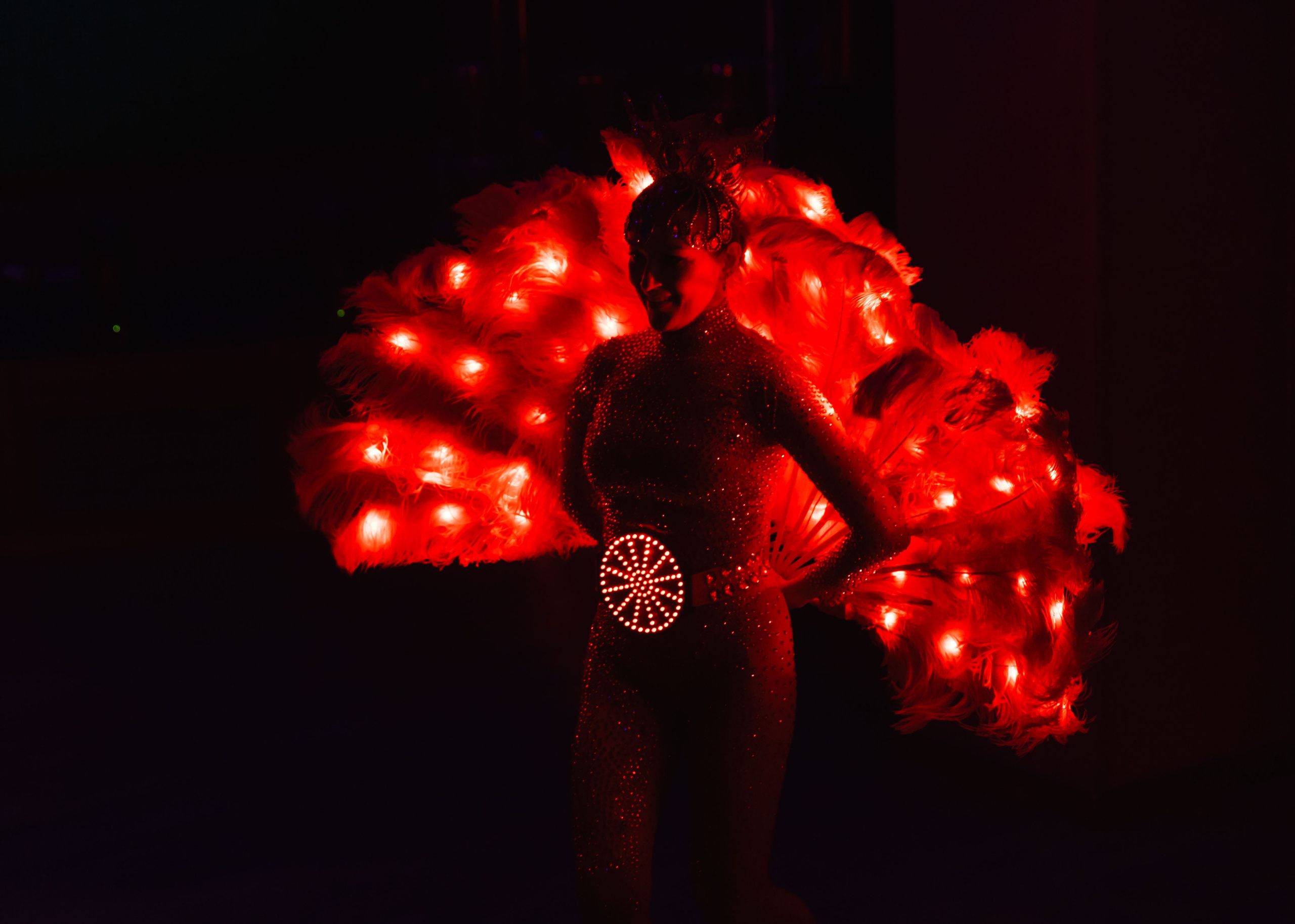 Предновогодка кипарис 2025. ФОТОГРАФ ВИНОГРАДОВА ДАРЬЯ