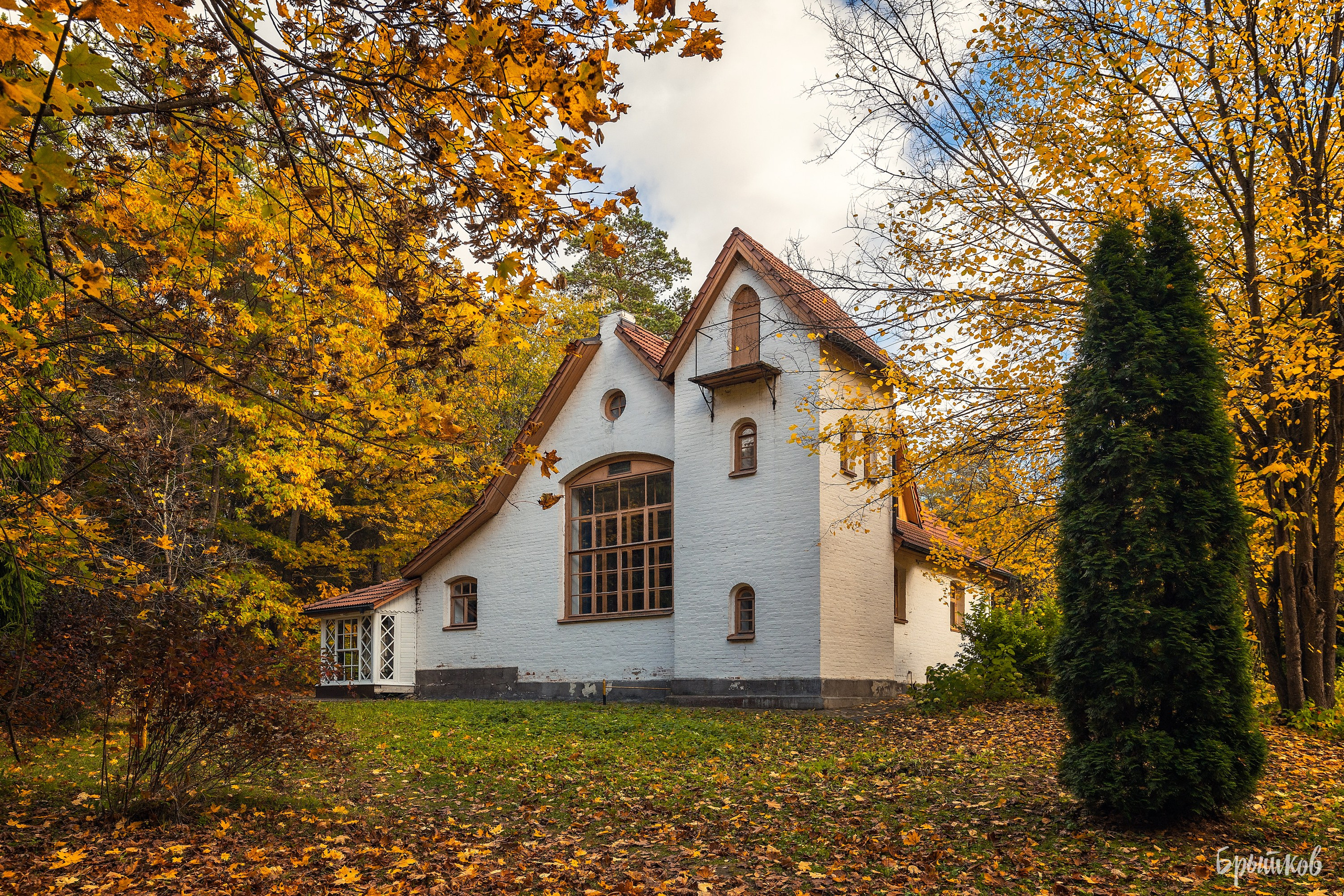 Поленово. Николай Брытков — фотограф в Туле