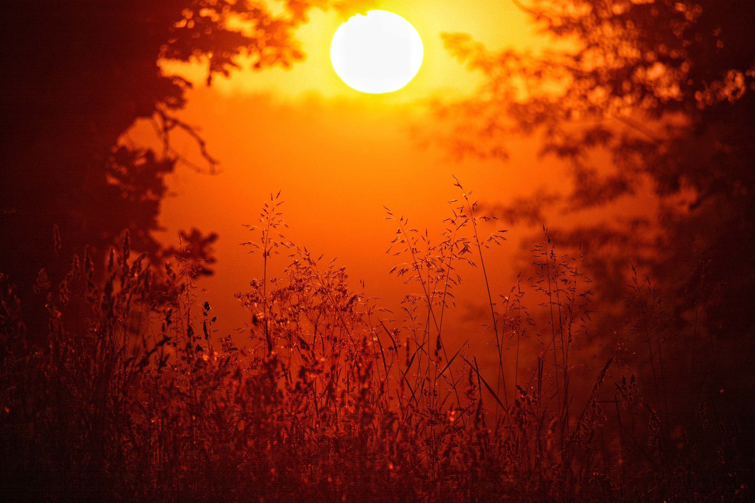 Фотограф Ваших событий 📸