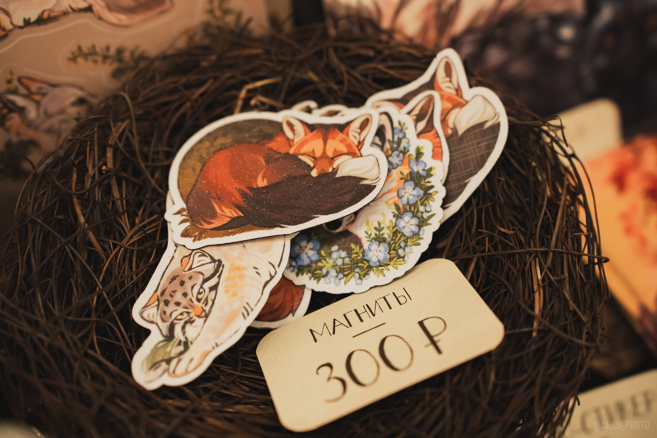 Fox Family fest. Репортажный фотограф Анастасия Рубцова