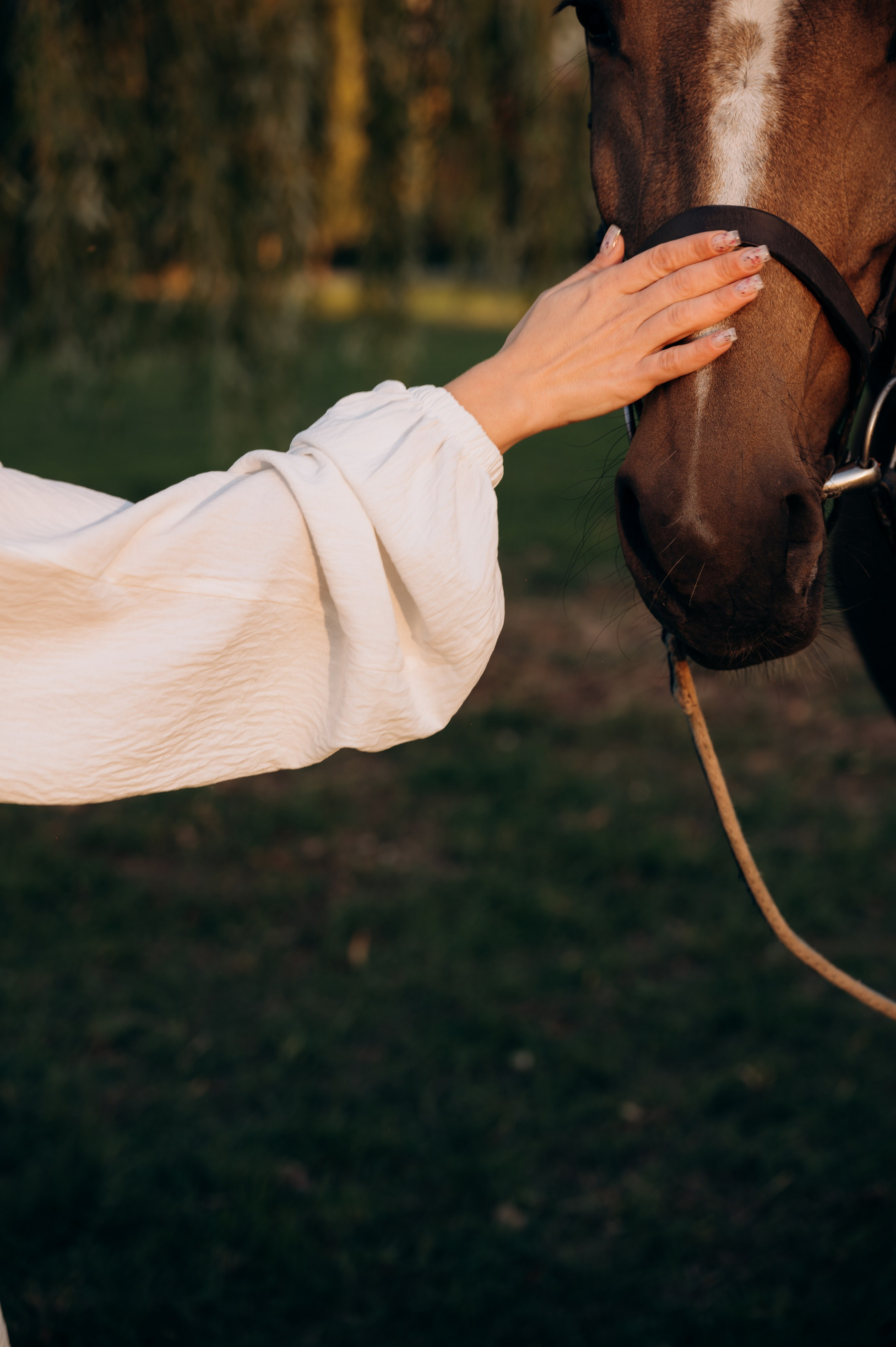 Съёмка для Галины. Мариуполь фото. Фотограф Мариуполь.Индивидуальные съёмки. Детские, семейные, коммерческие